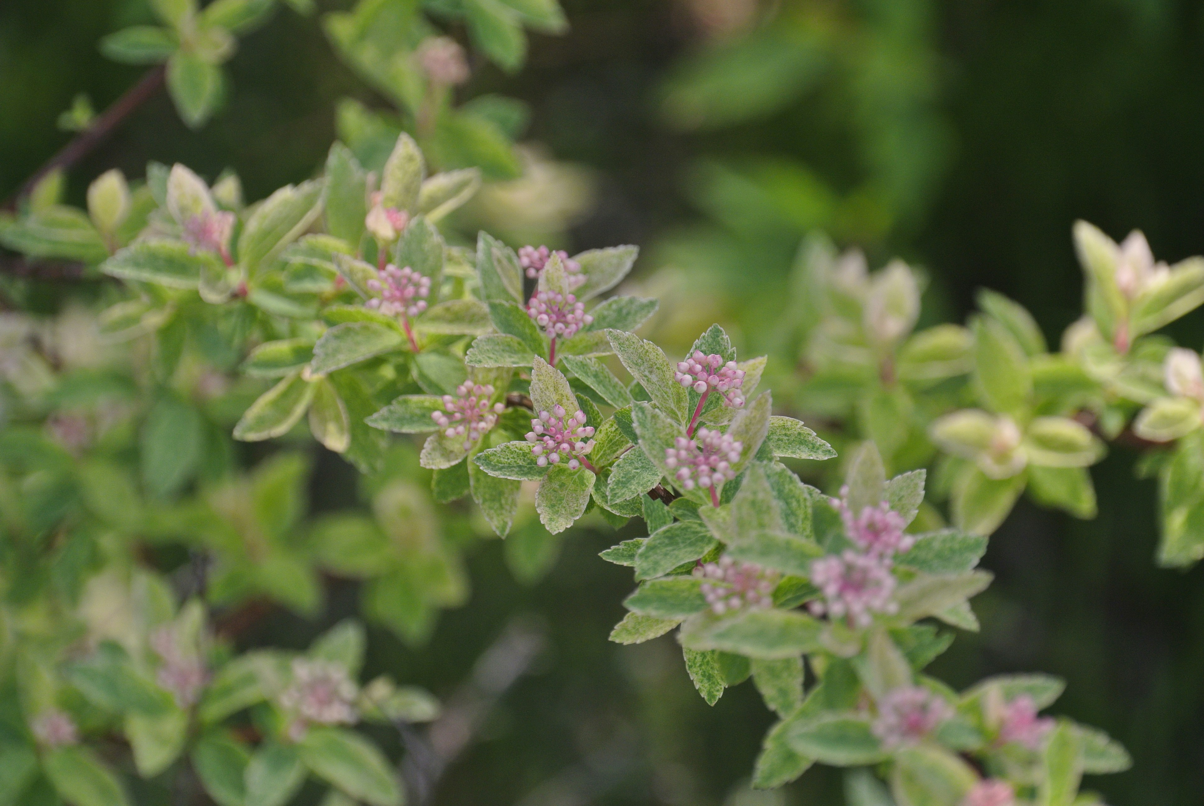 계절 생활 상식 3