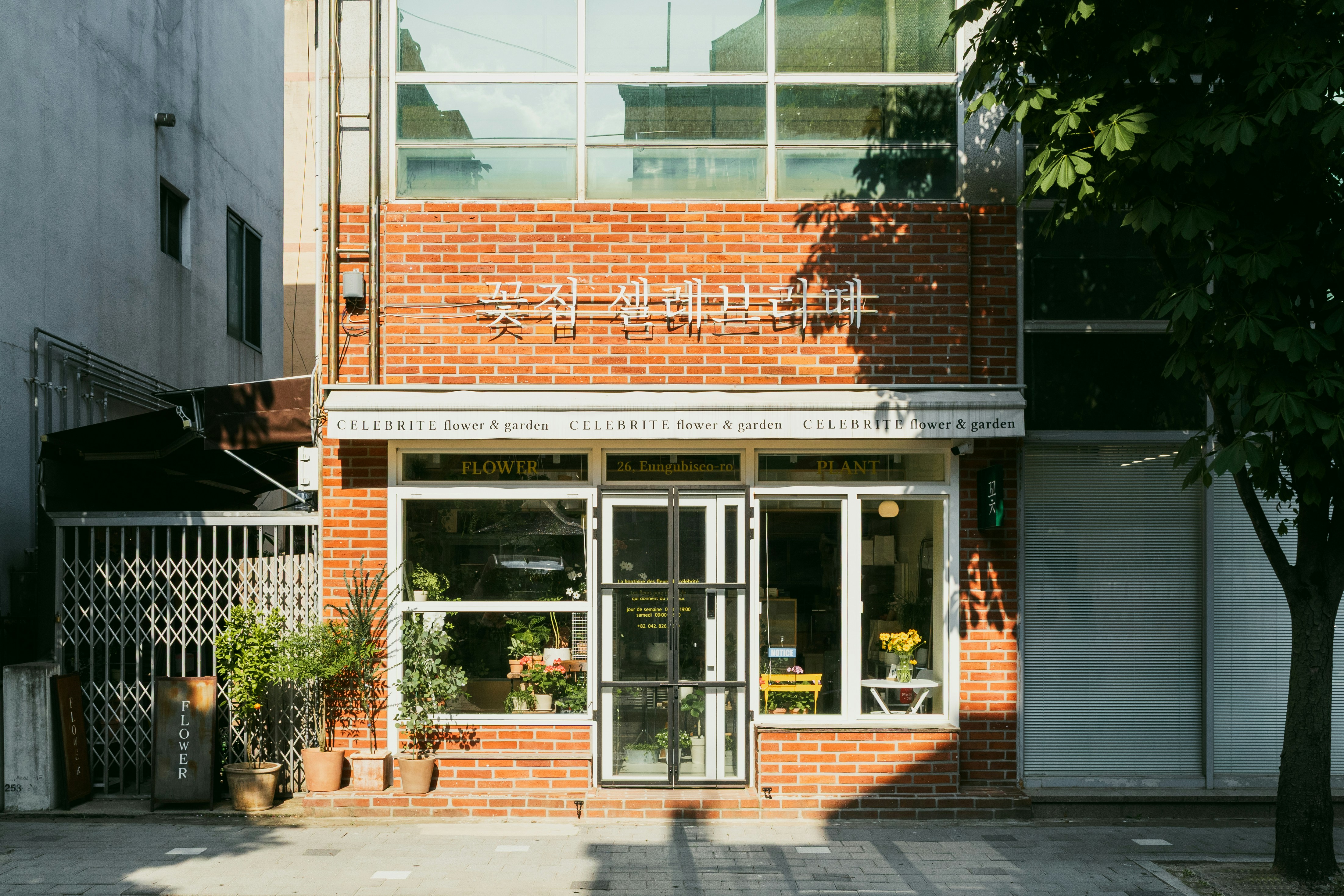 Culinary Institute of America