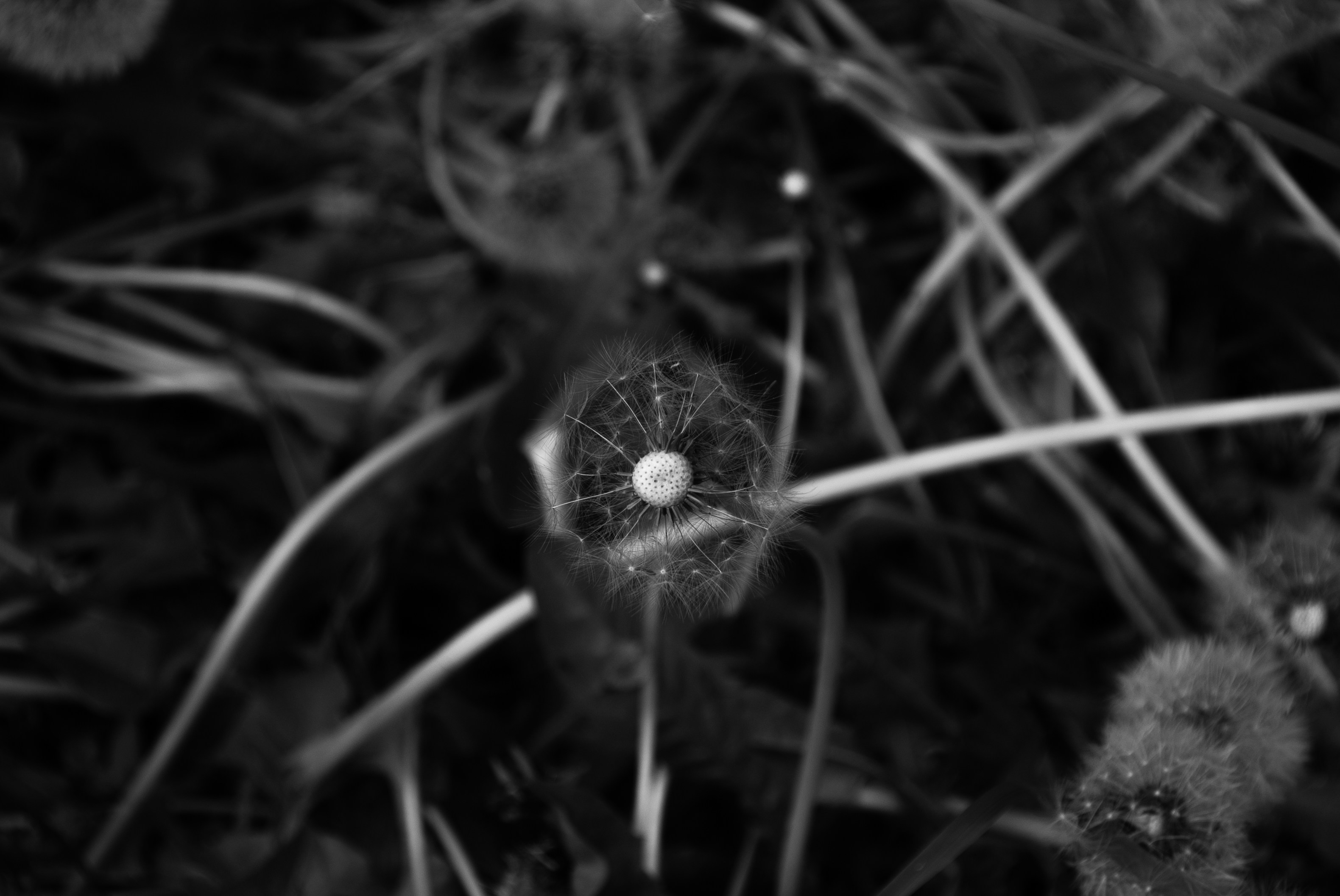 Photo by evavi17