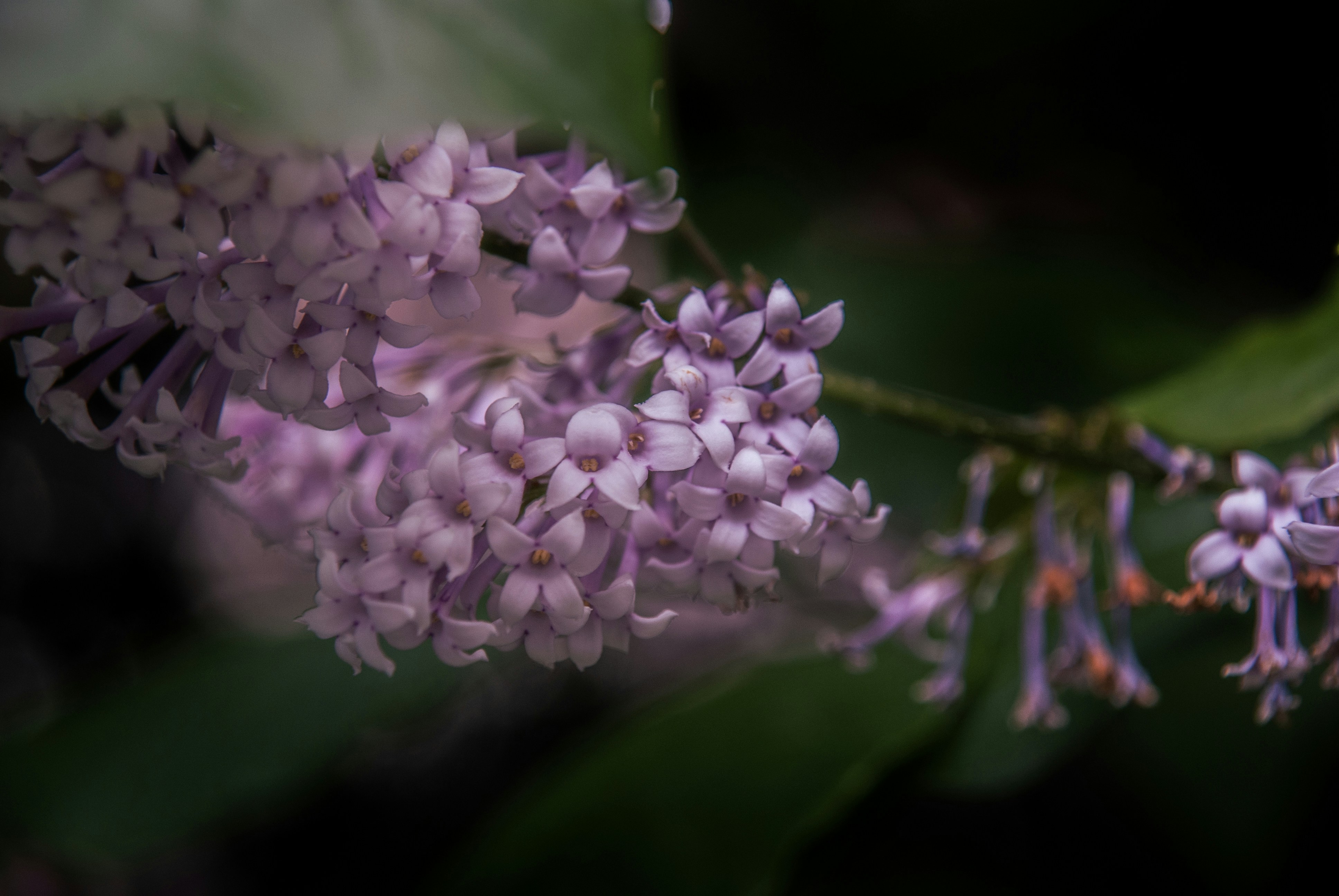Photo by evavi17