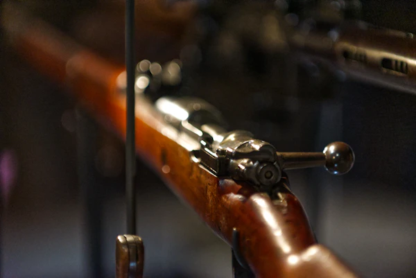 Detalhe de rifle