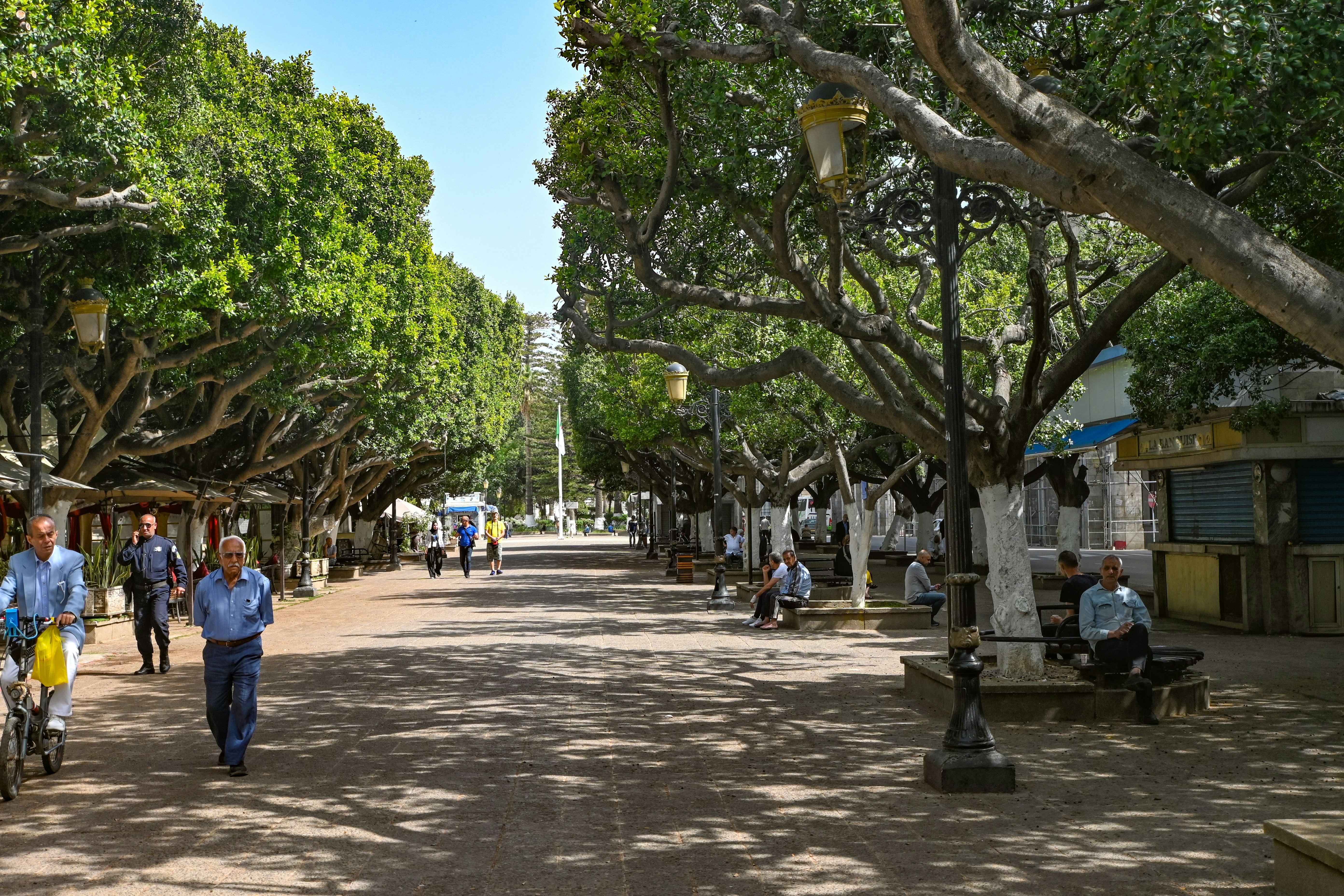 A colorful market in Ghardaïa.