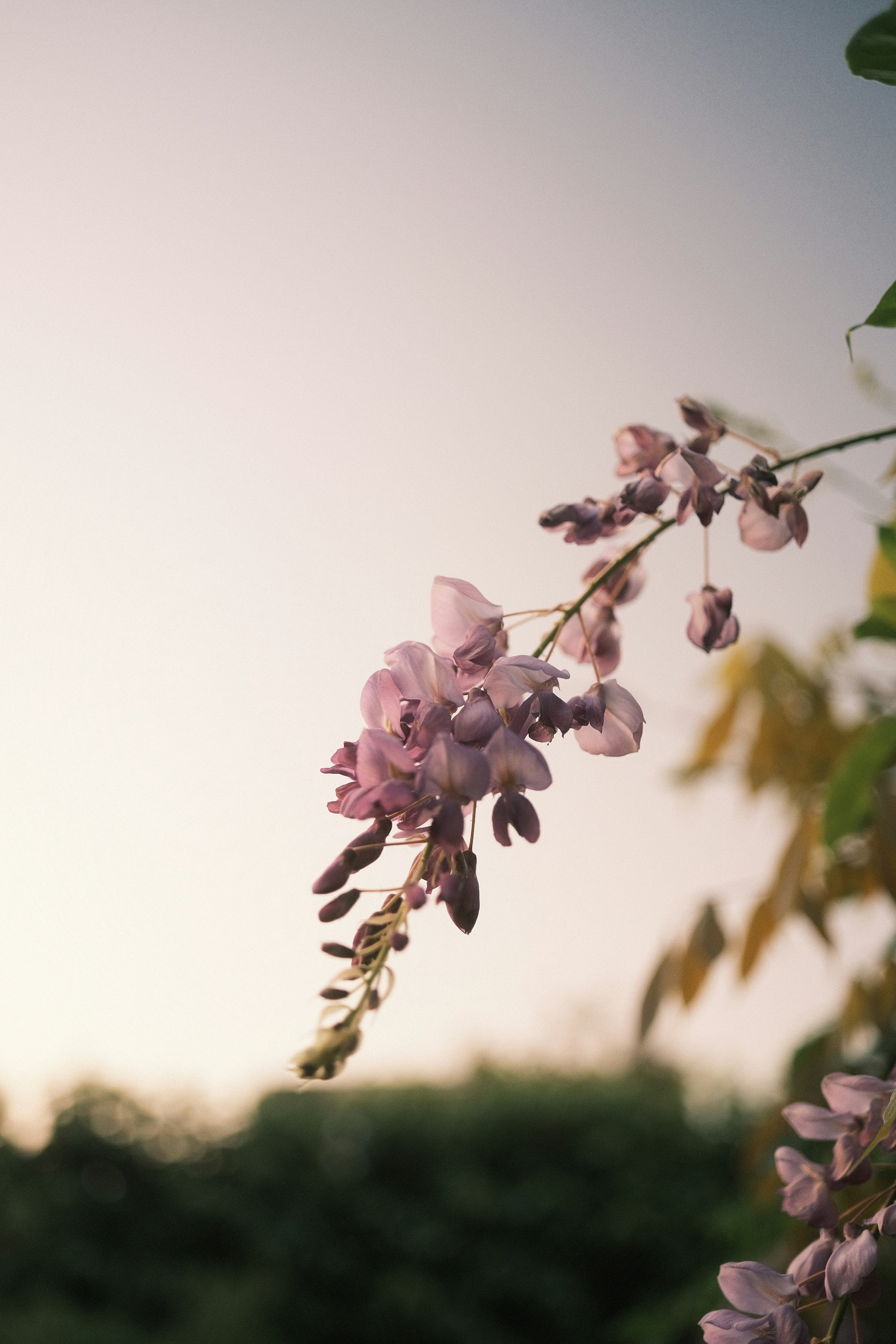 Photo by visualsbying