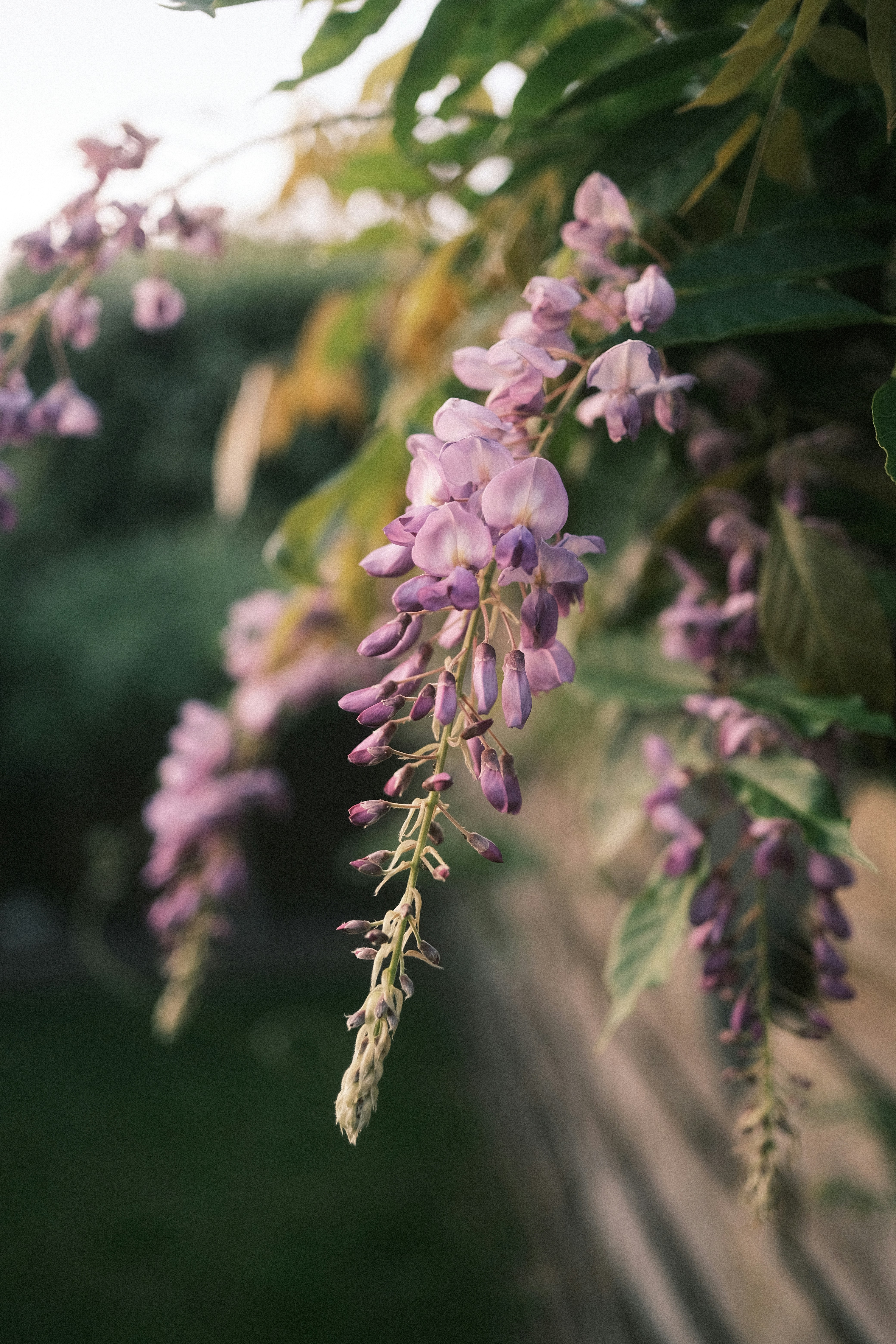 Photo by visualsbying