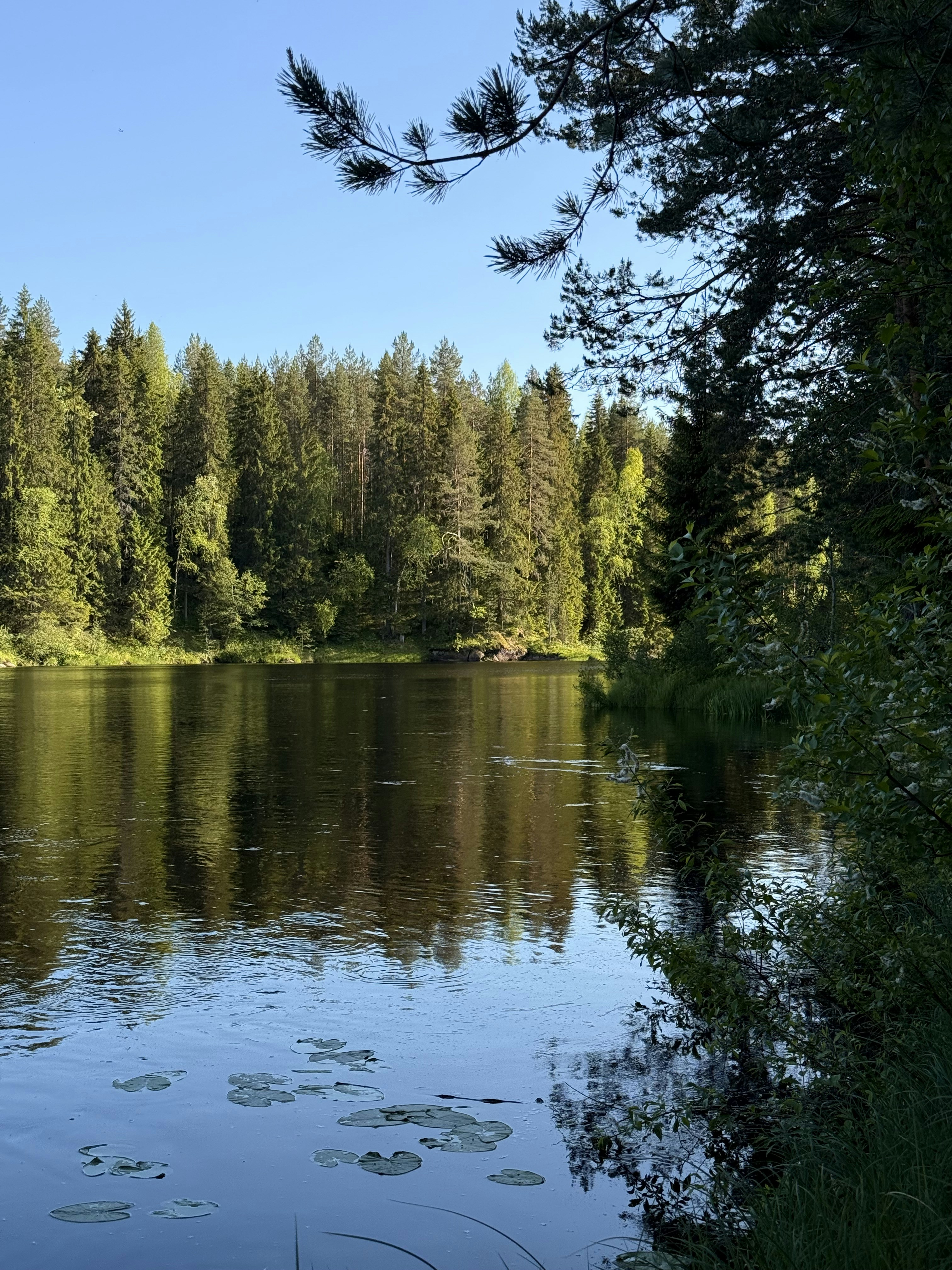 Photo by artemisss666