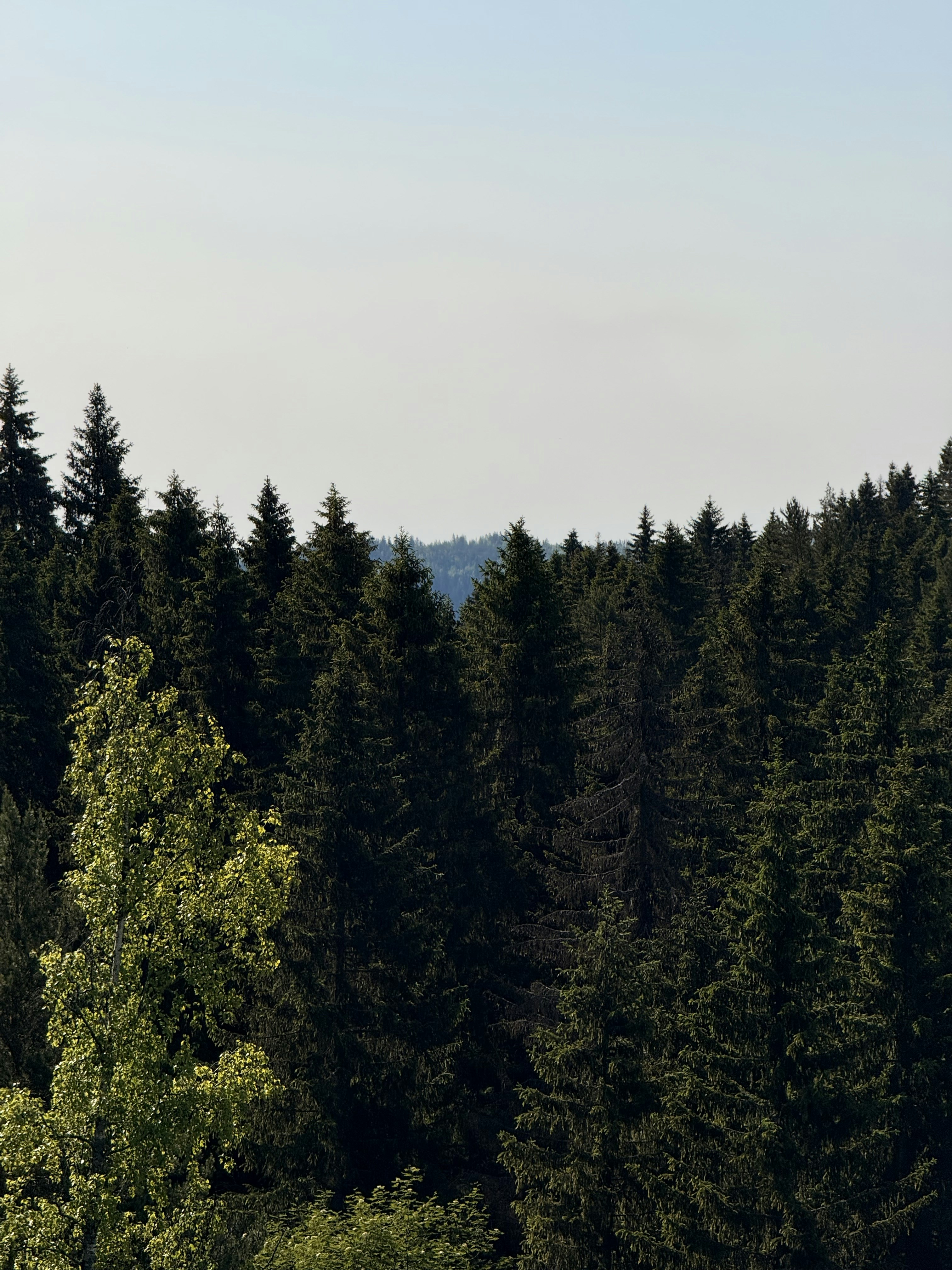 Photo by artemisss666