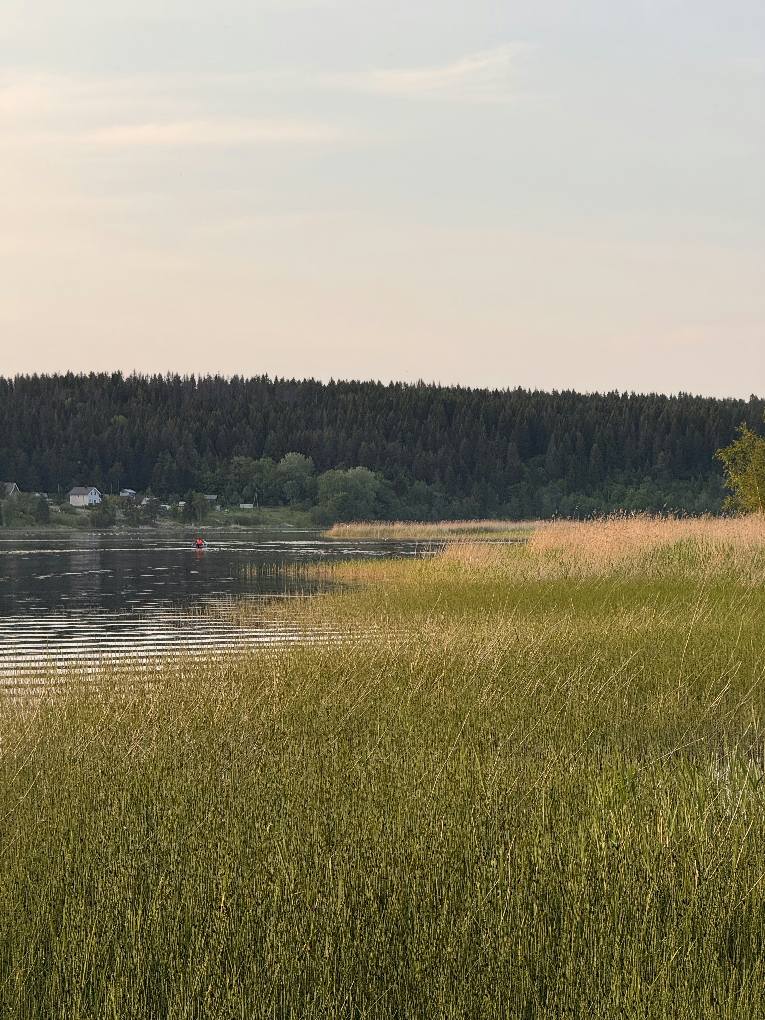 Photo by artemisss666