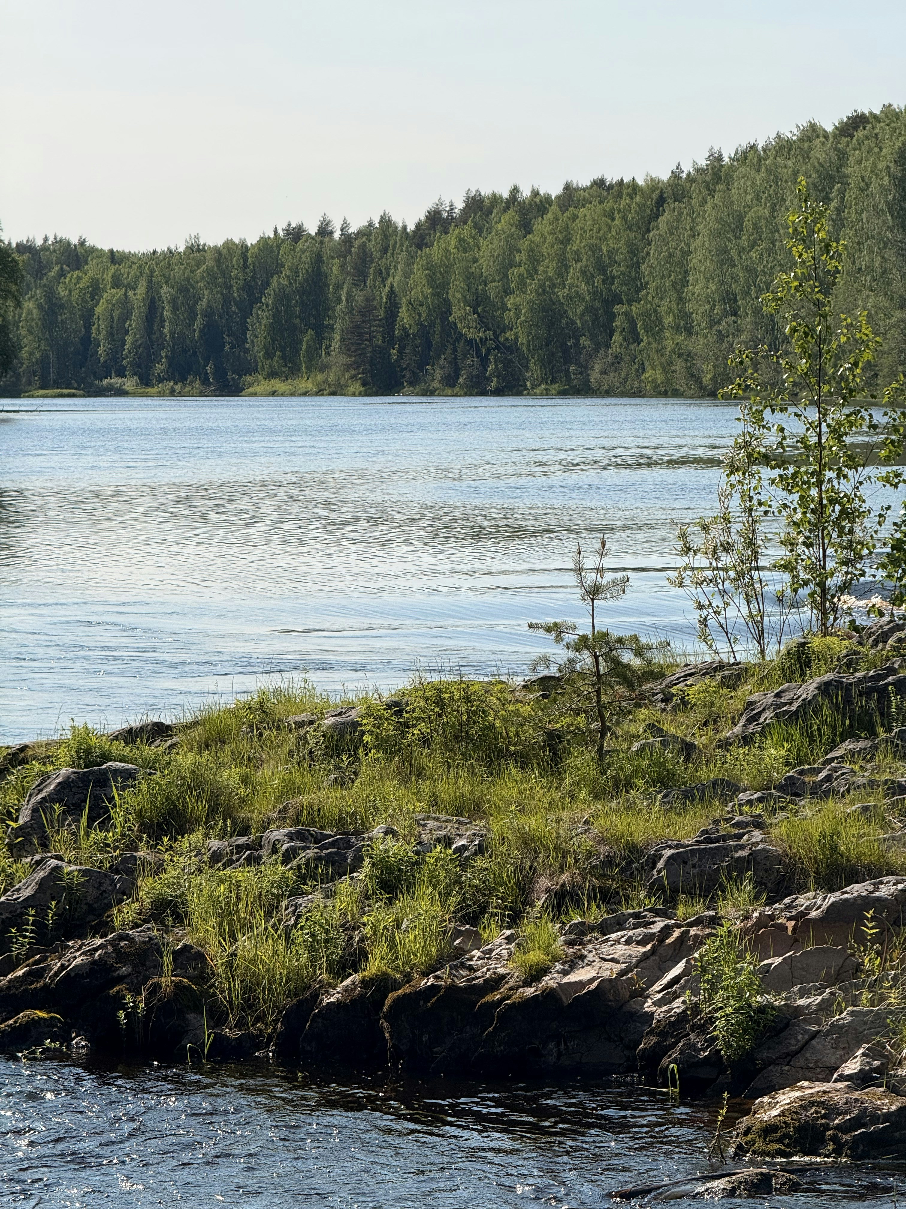 Photo by artemisss666