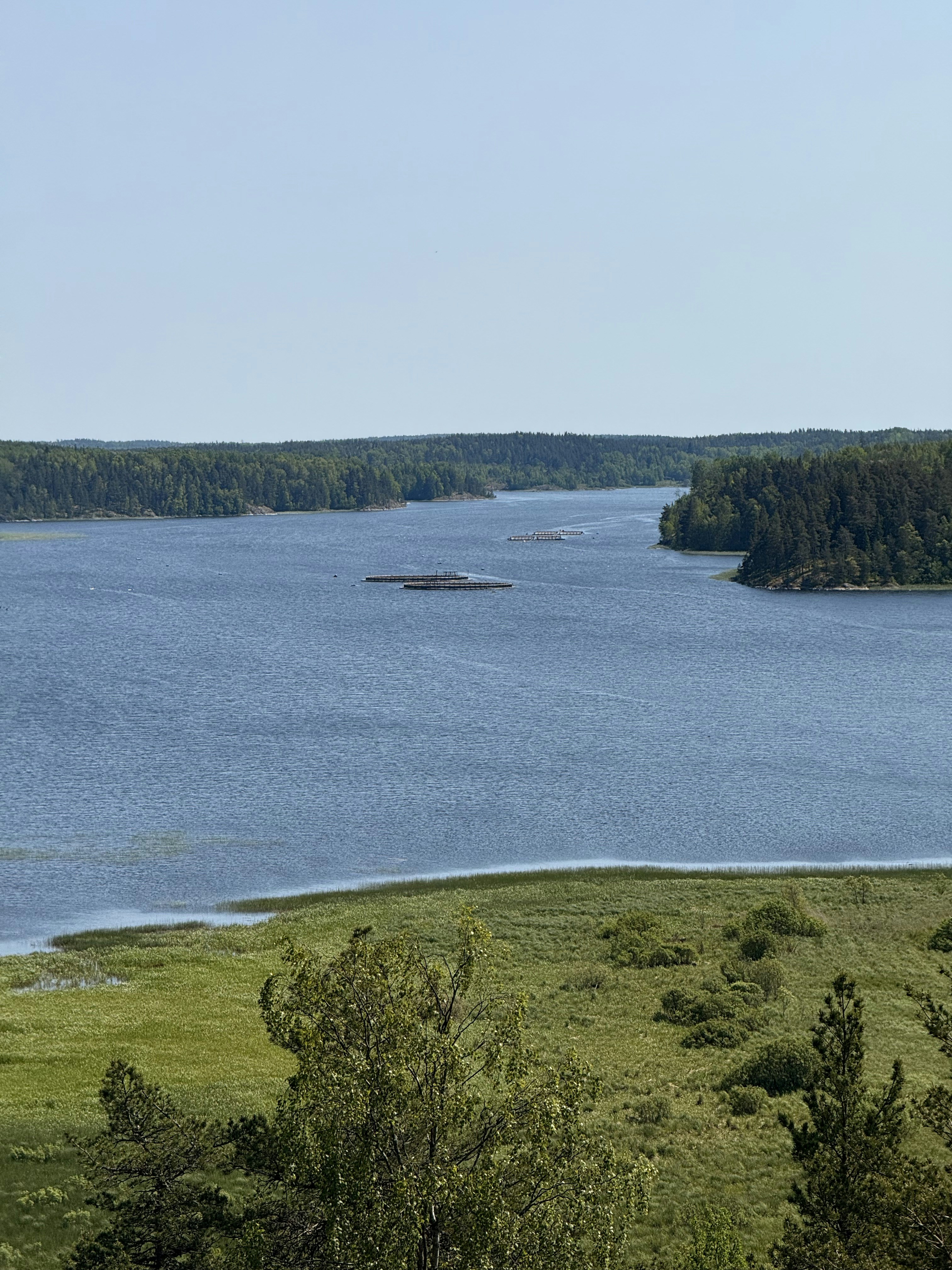 Photo by artemisss666