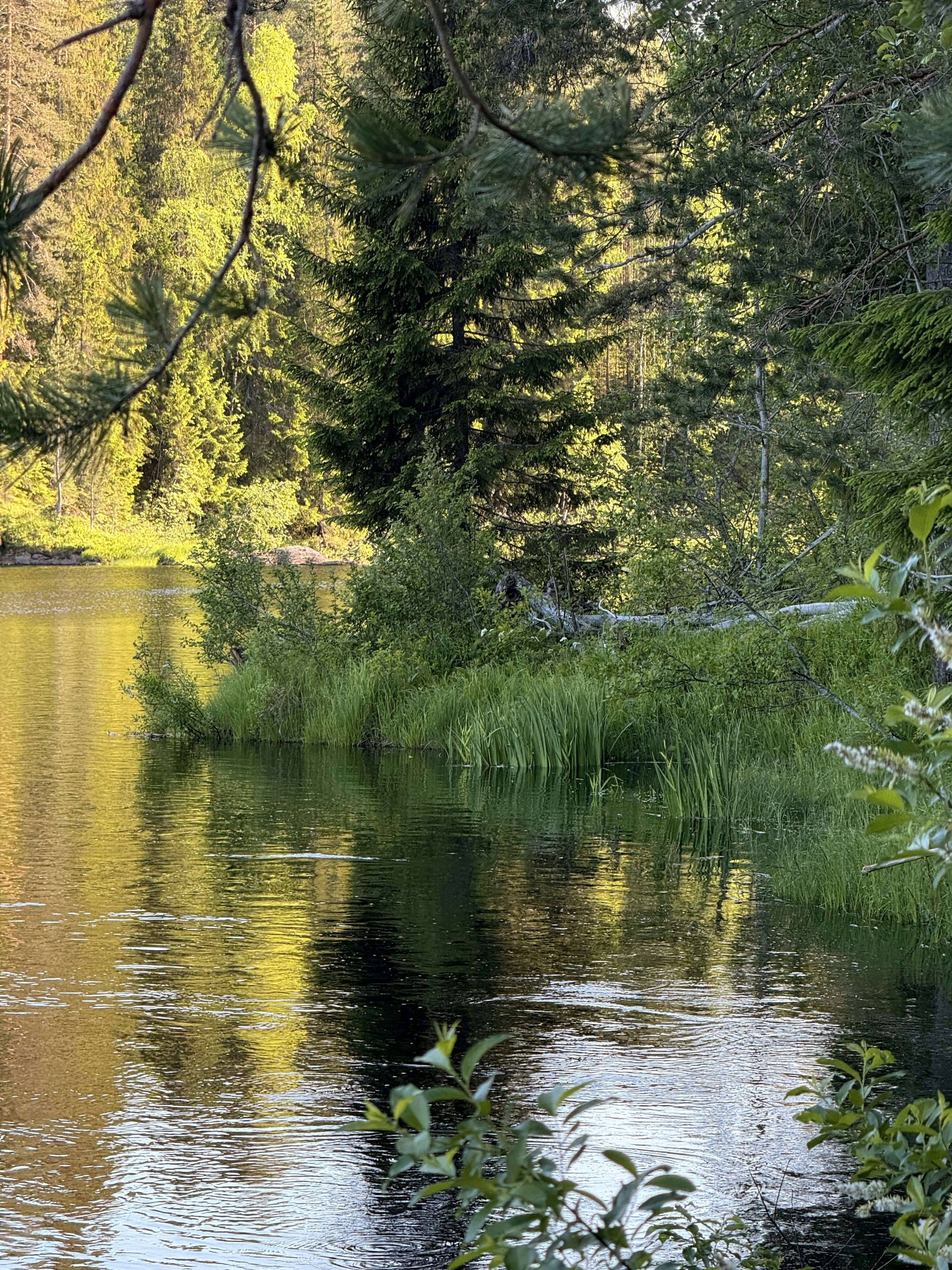 Photo by artemisss666