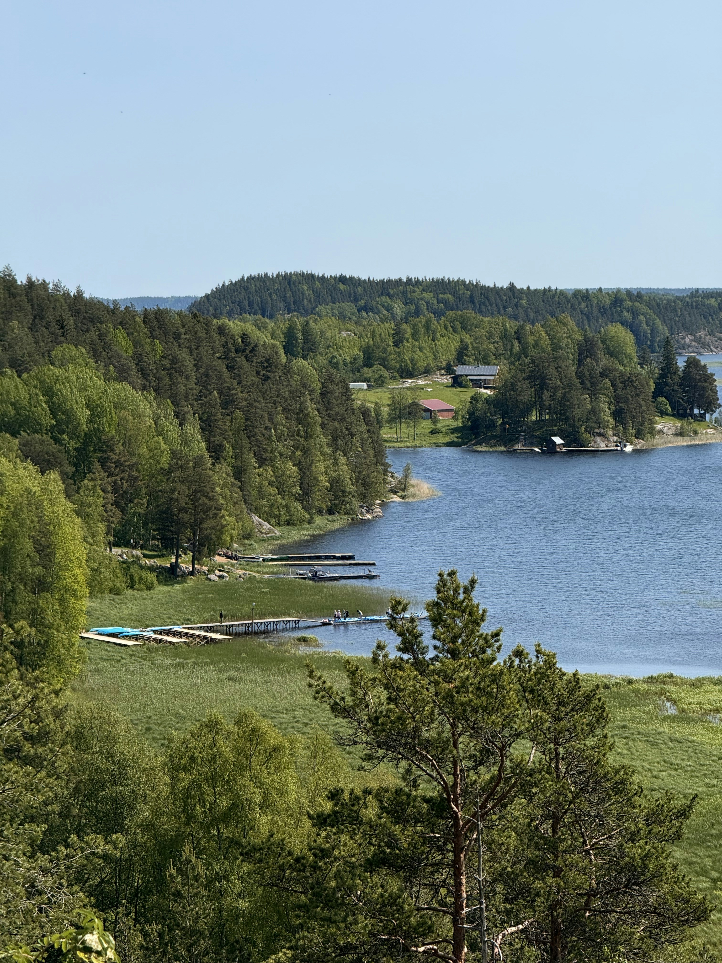 Photo by artemisss666