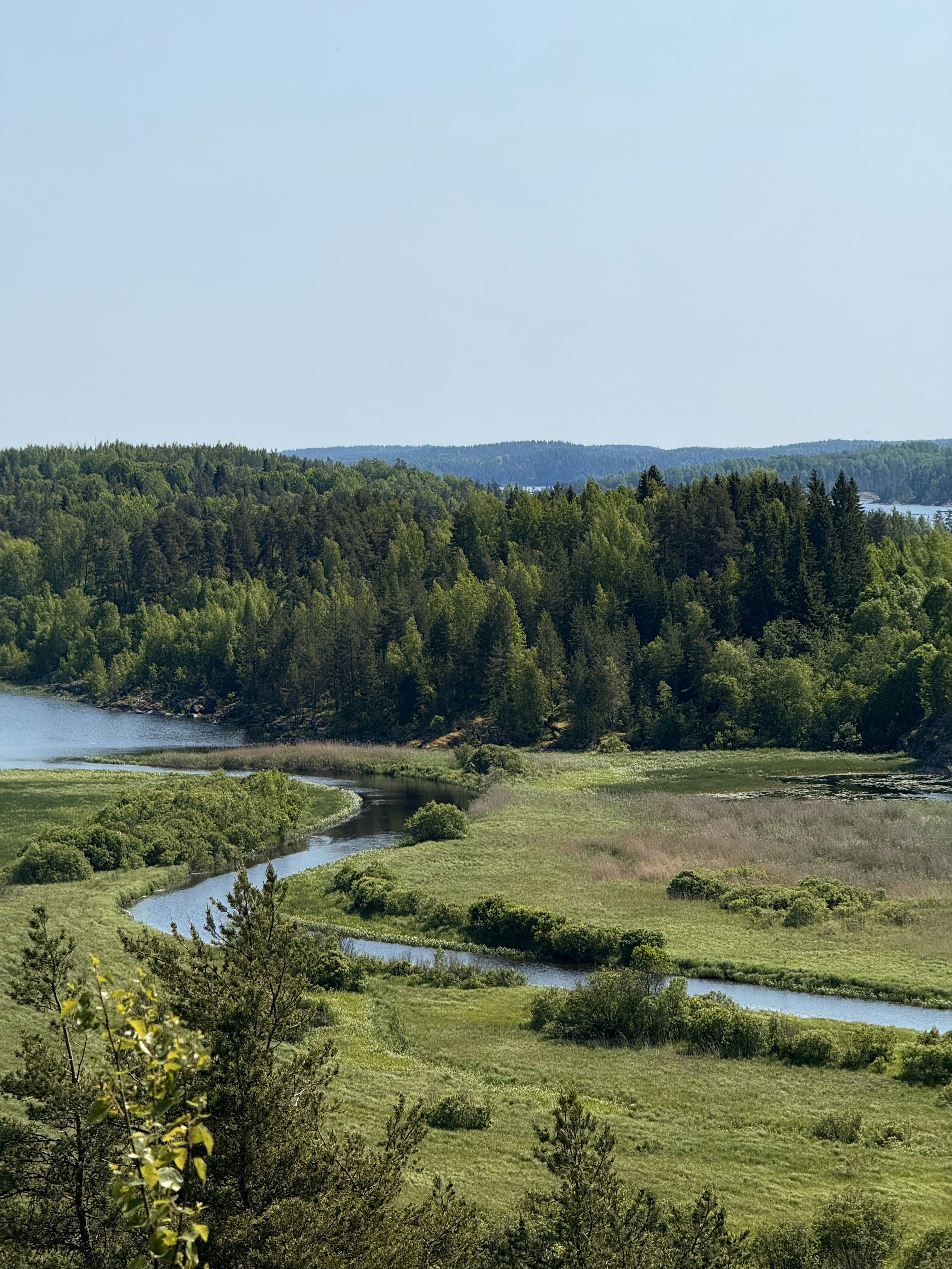 Photo by artemisss666