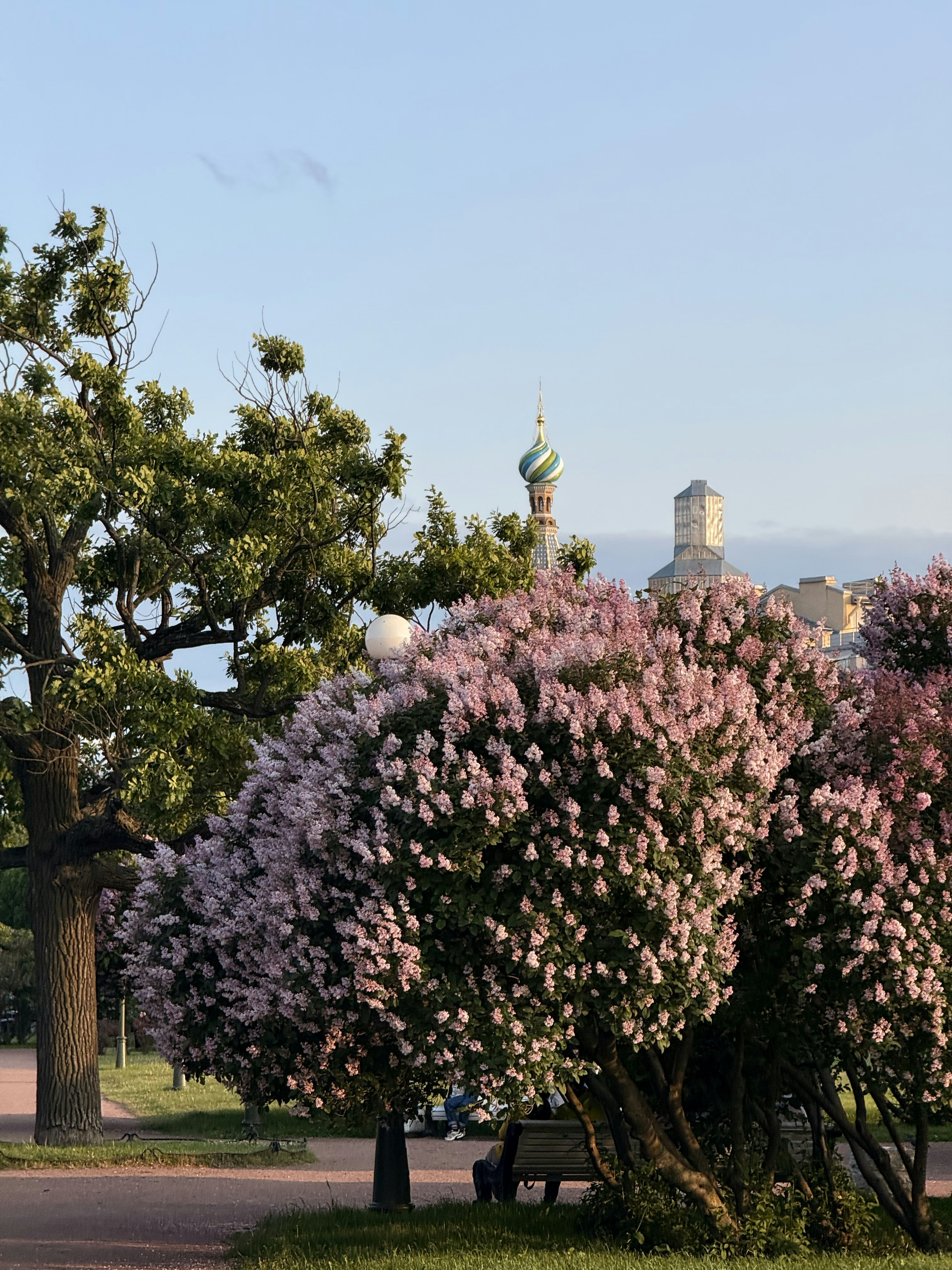 Photo by artemisss666