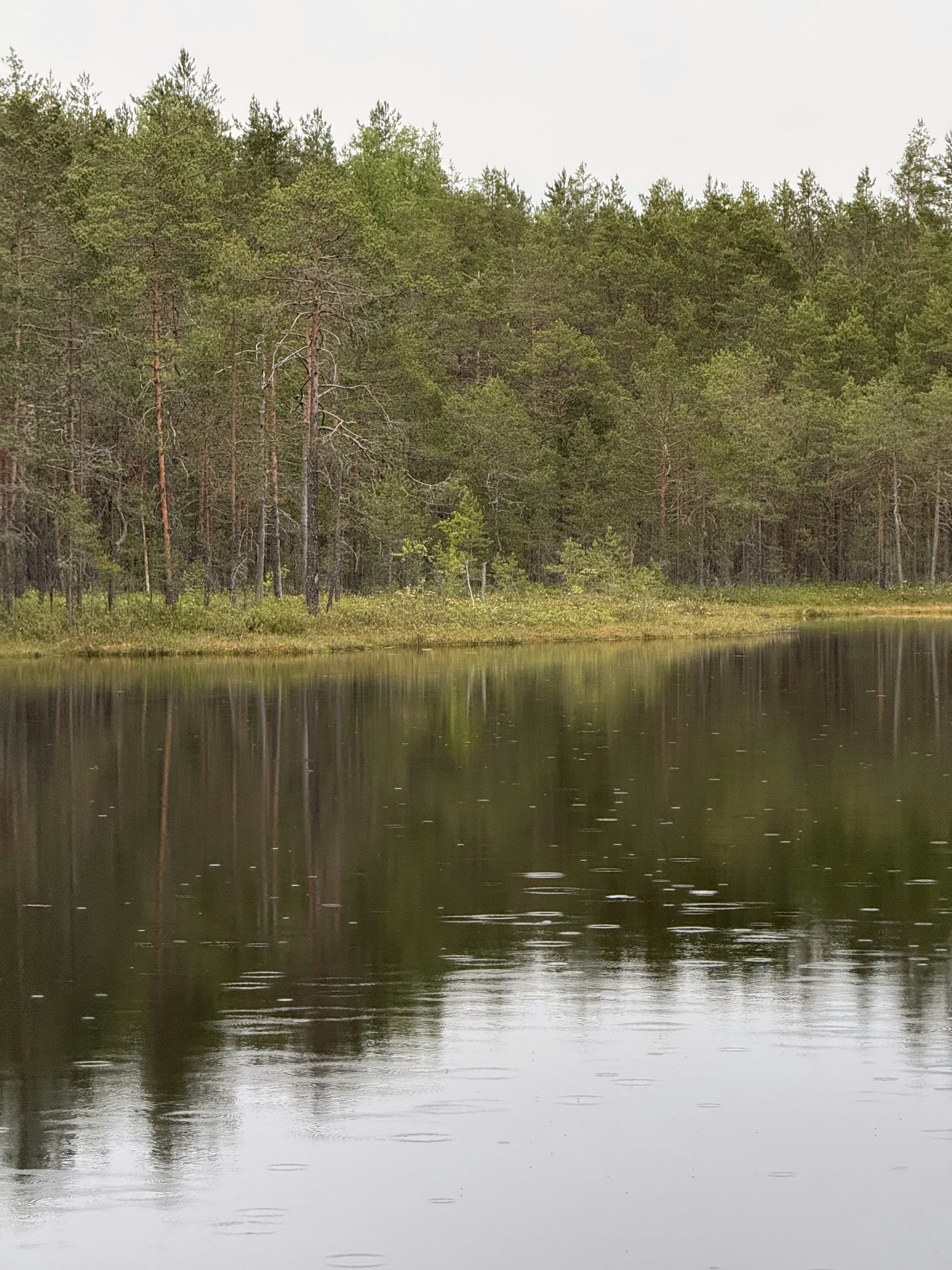 Photo by artemisss666