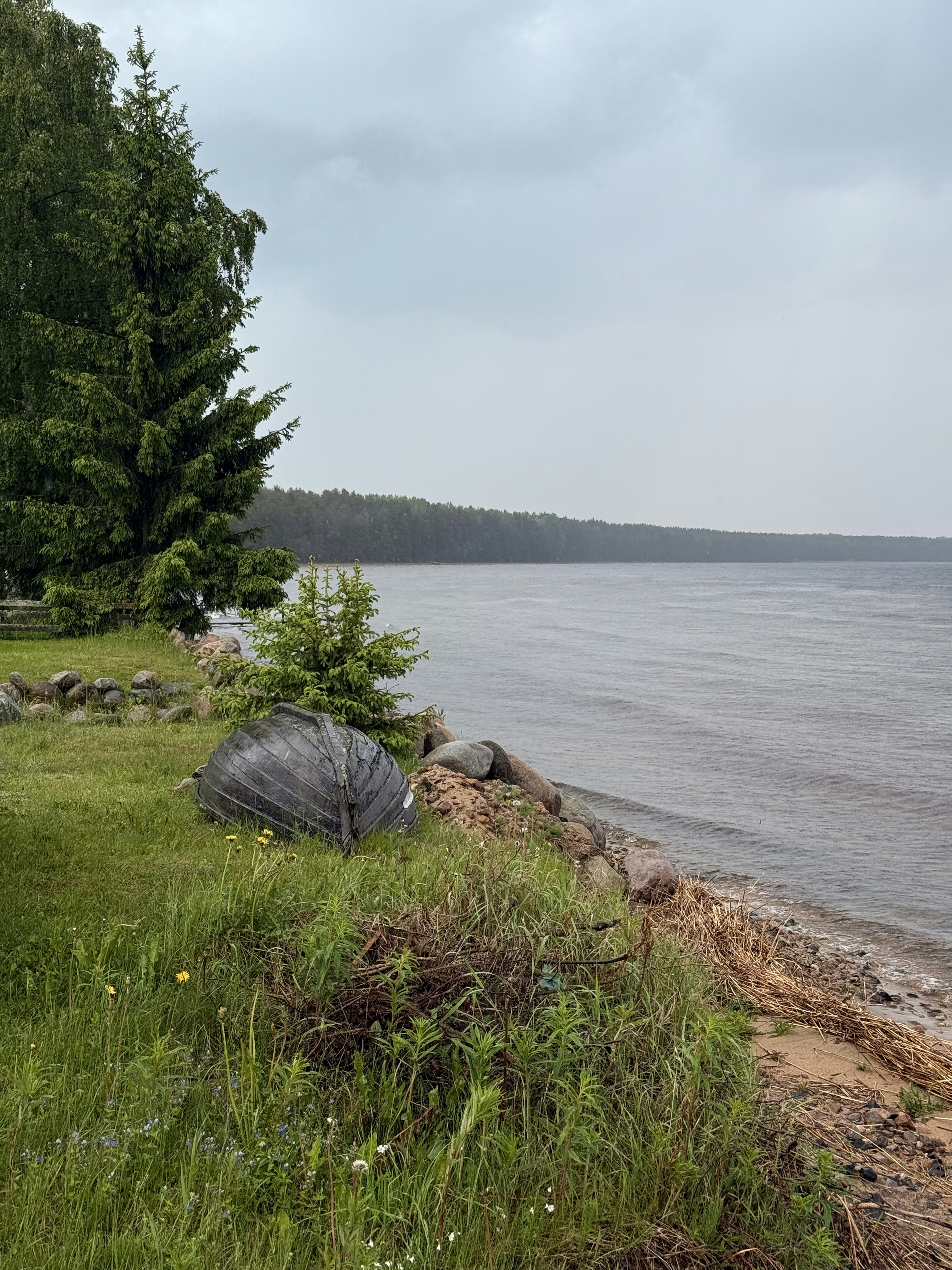 Photo by artemisss666