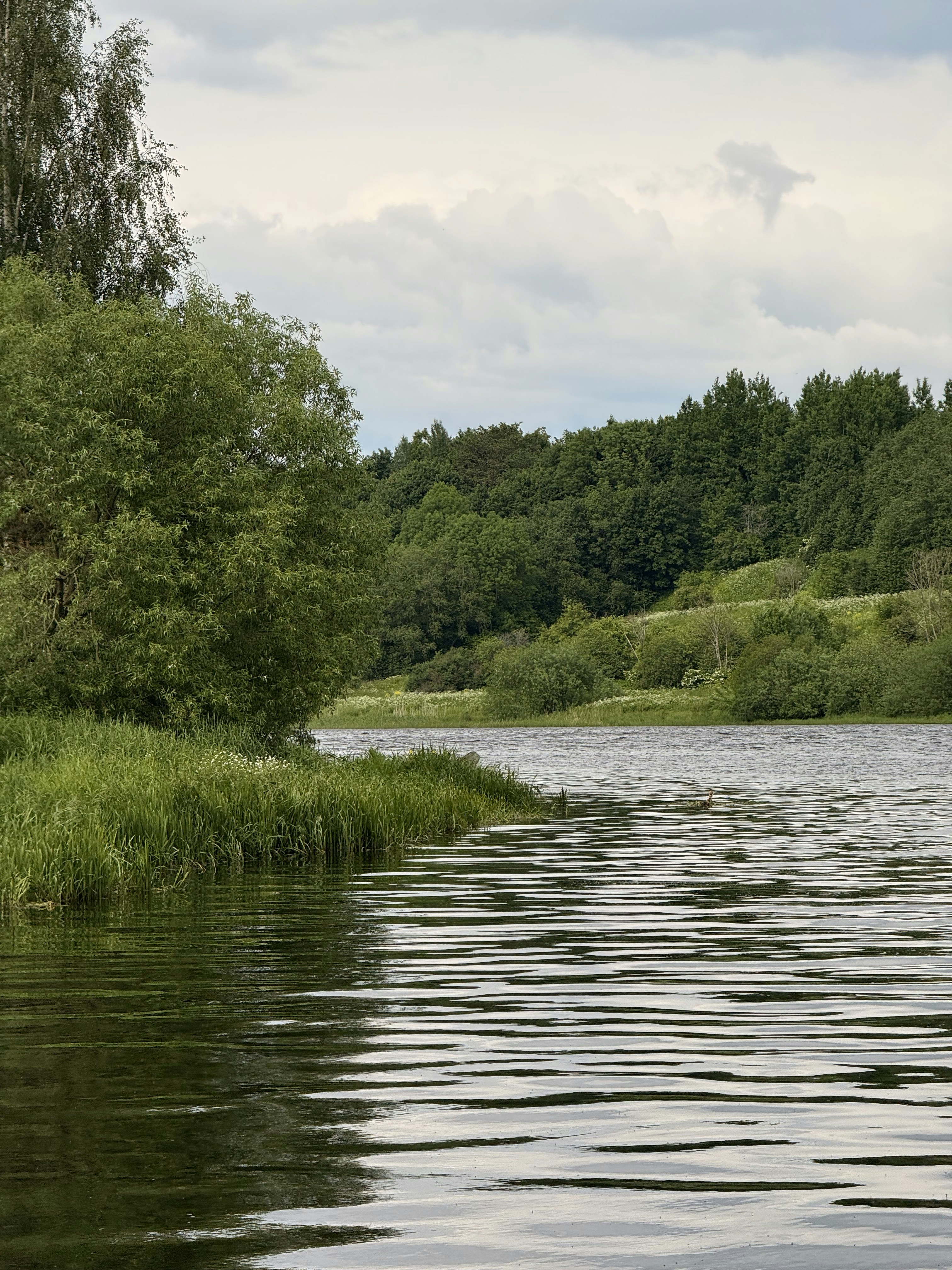 Photo by artemisss666