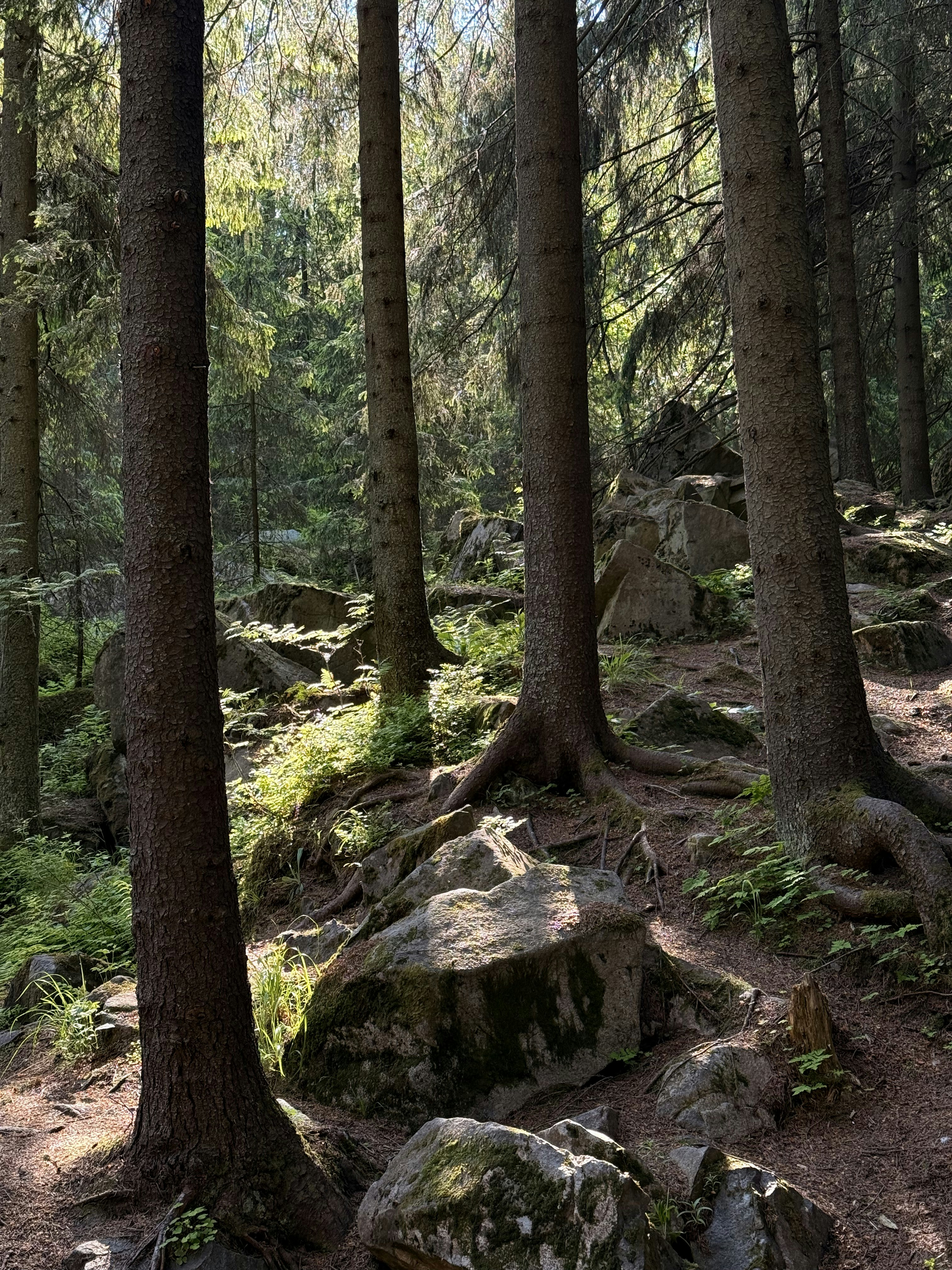 Photo by artemisss666