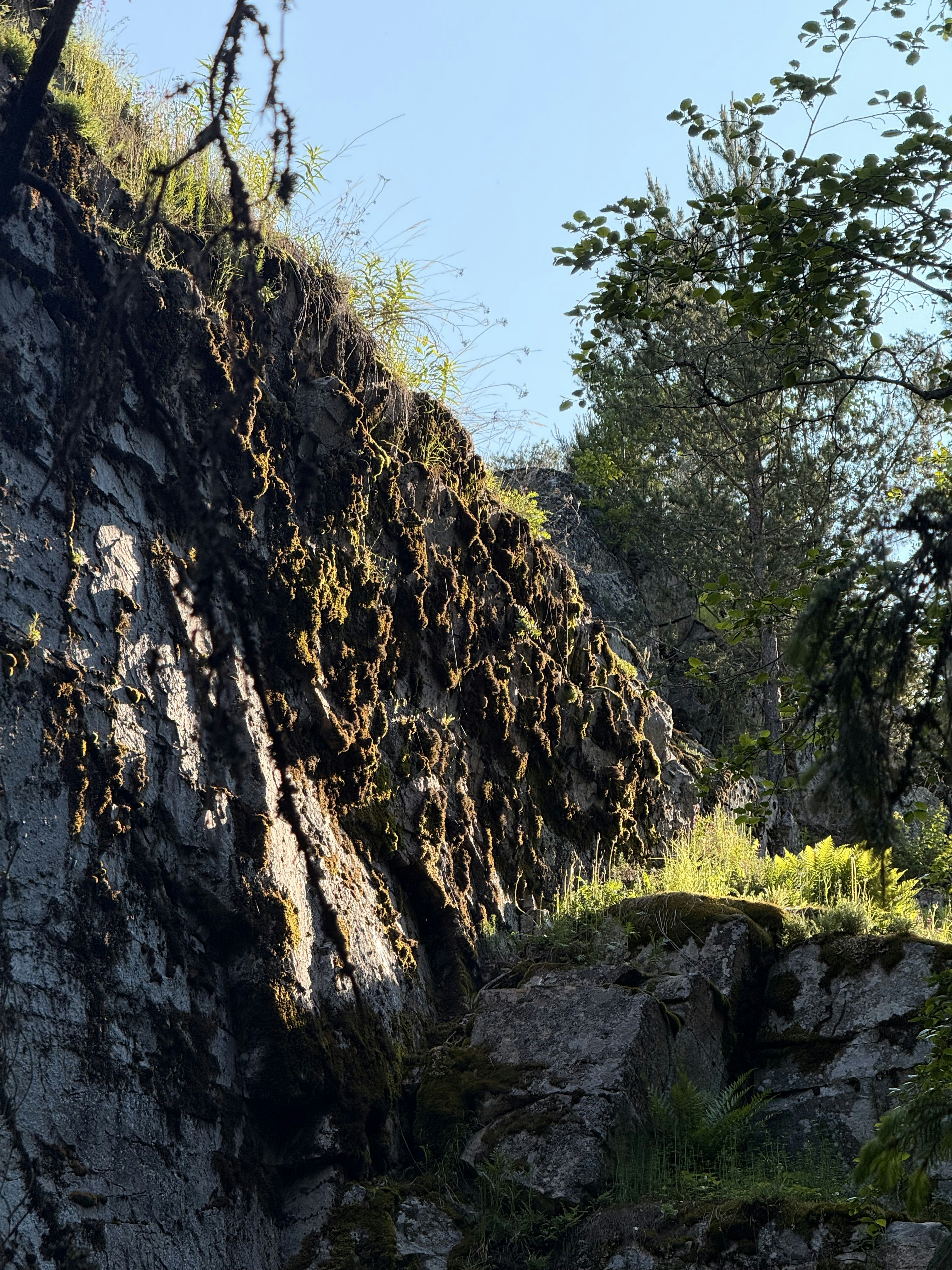 Photo by artemisss666