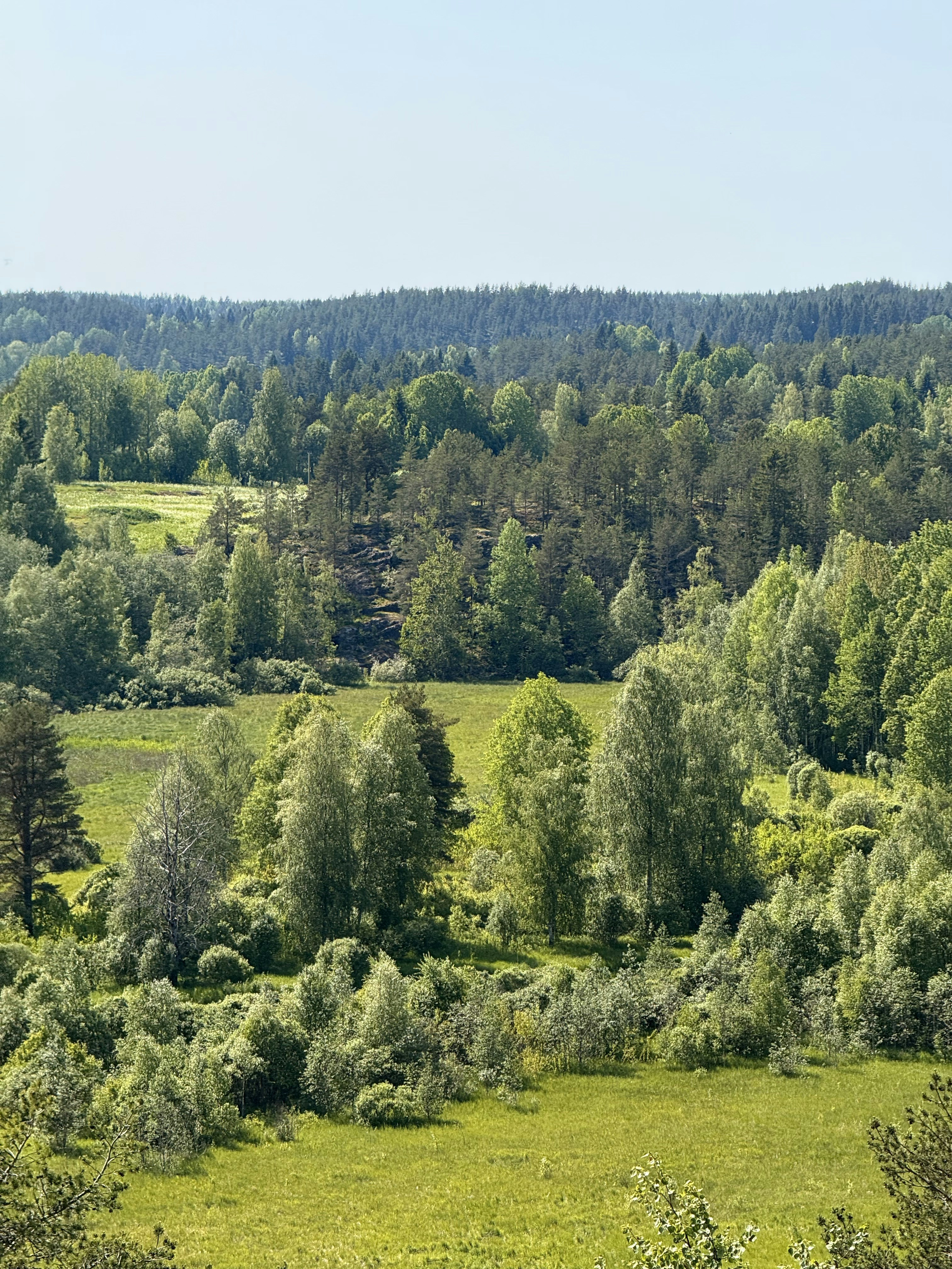 Photo by artemisss666