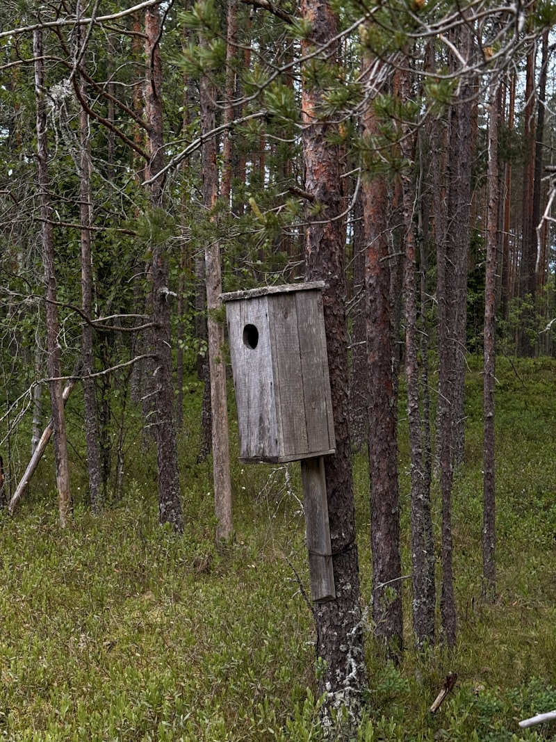 Vogelhaus an einem Baumstamm im Freien
