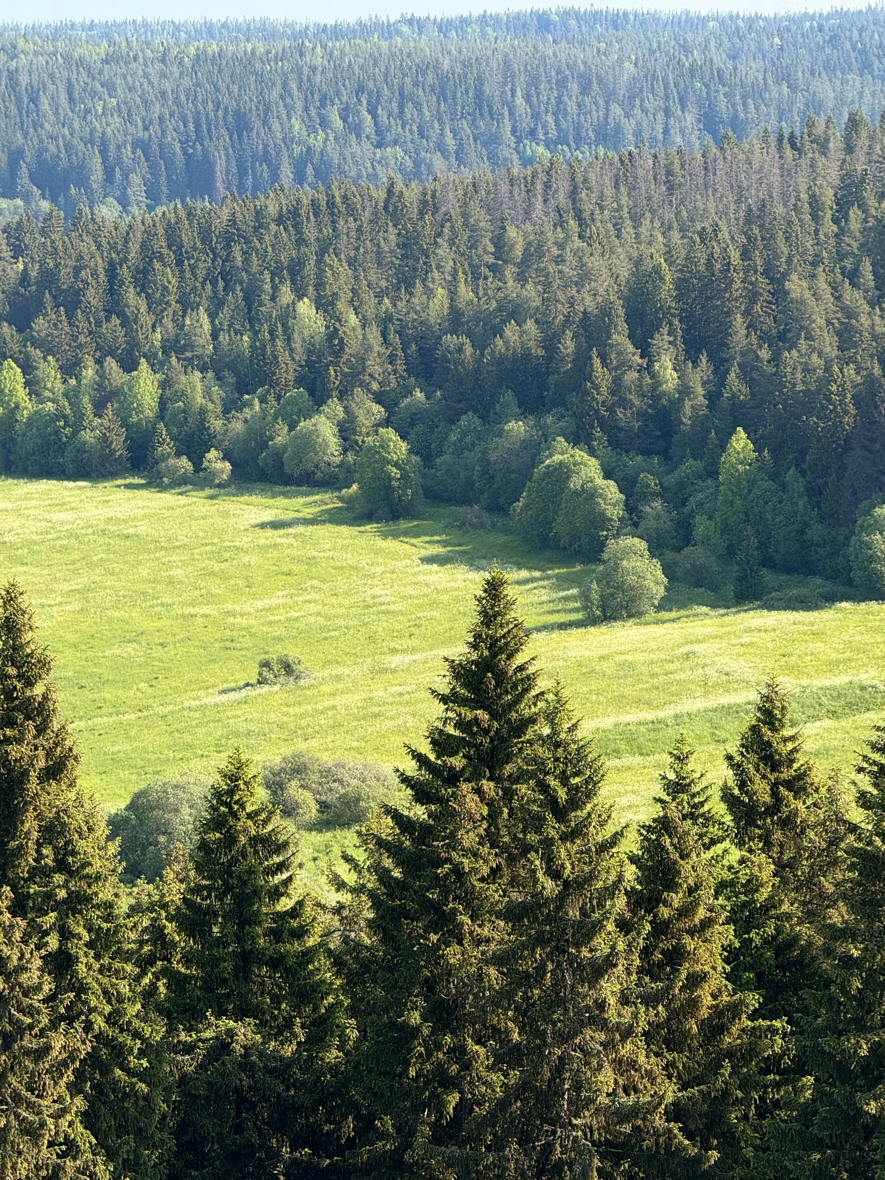 Photo by artemisss666