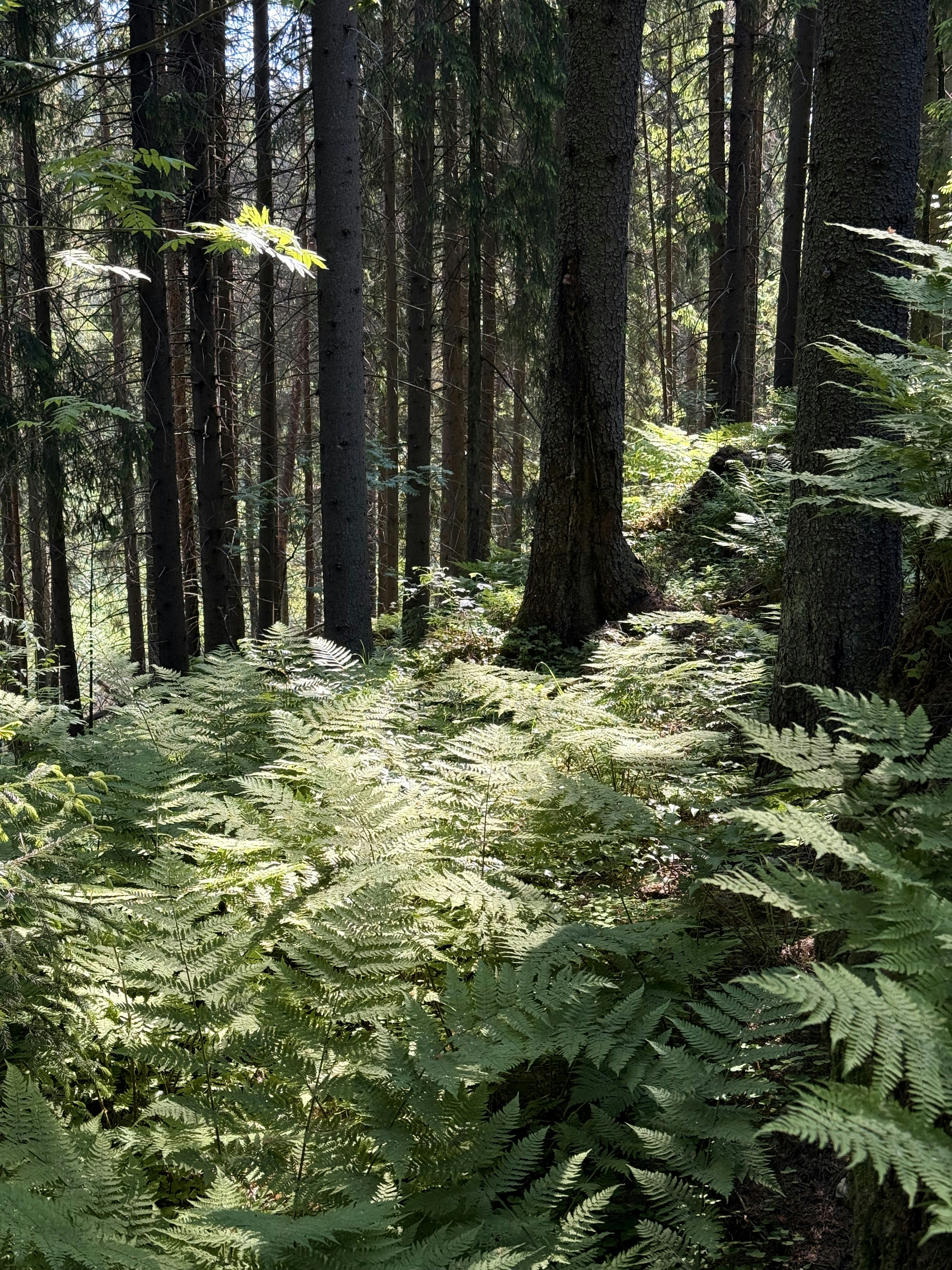 Photo by artemisss666