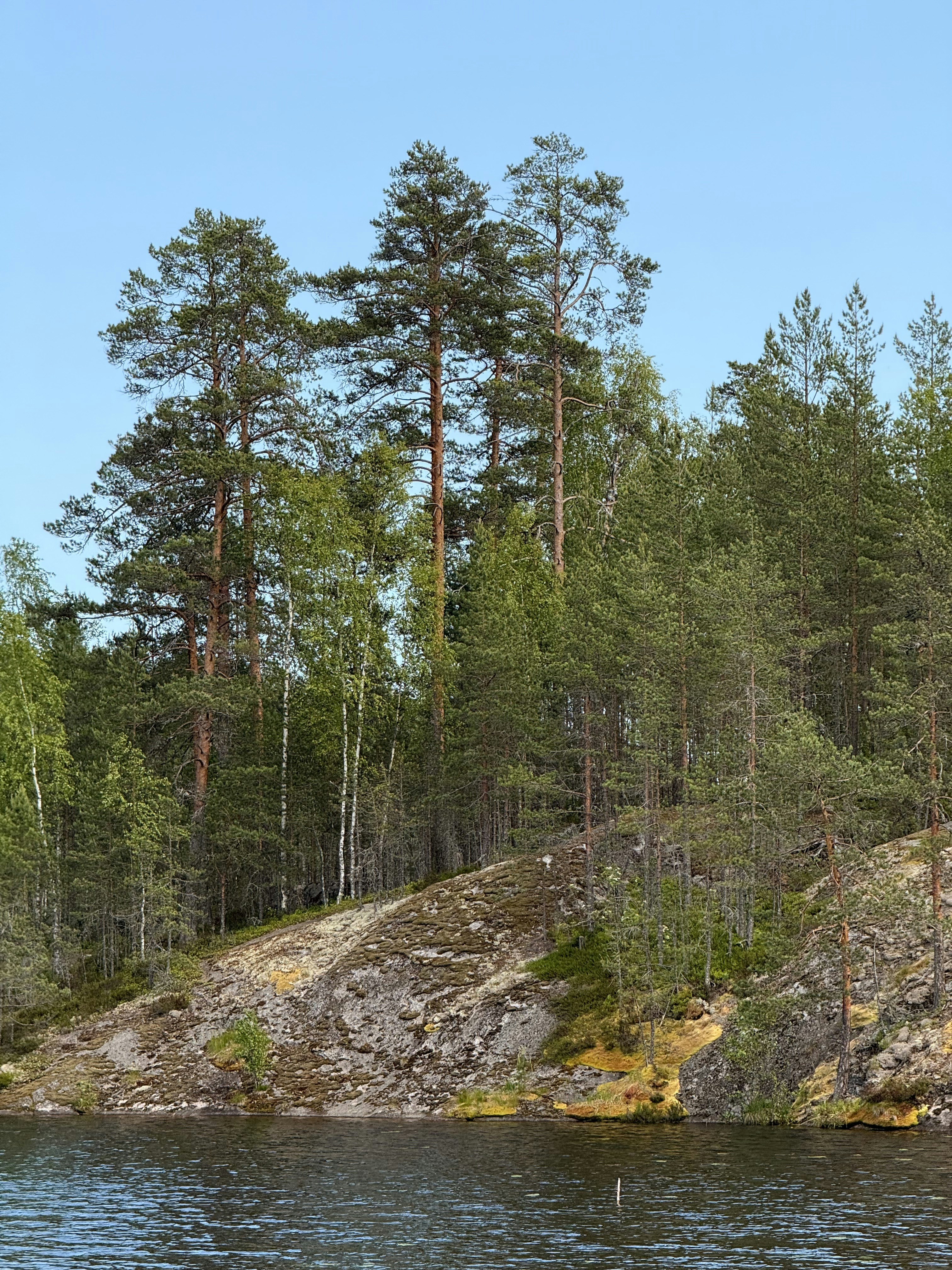 Photo by artemisss666