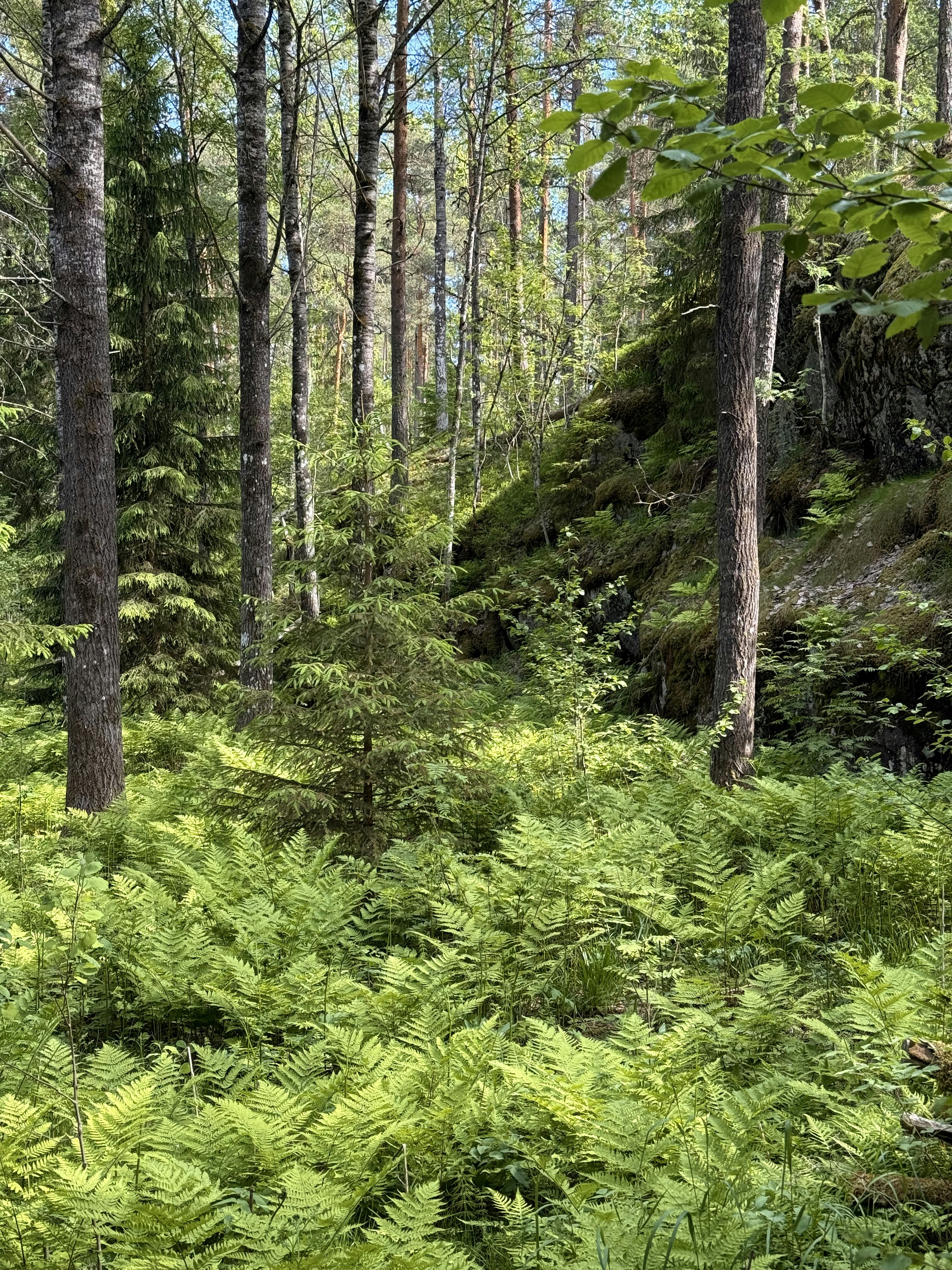 Photo by artemisss666