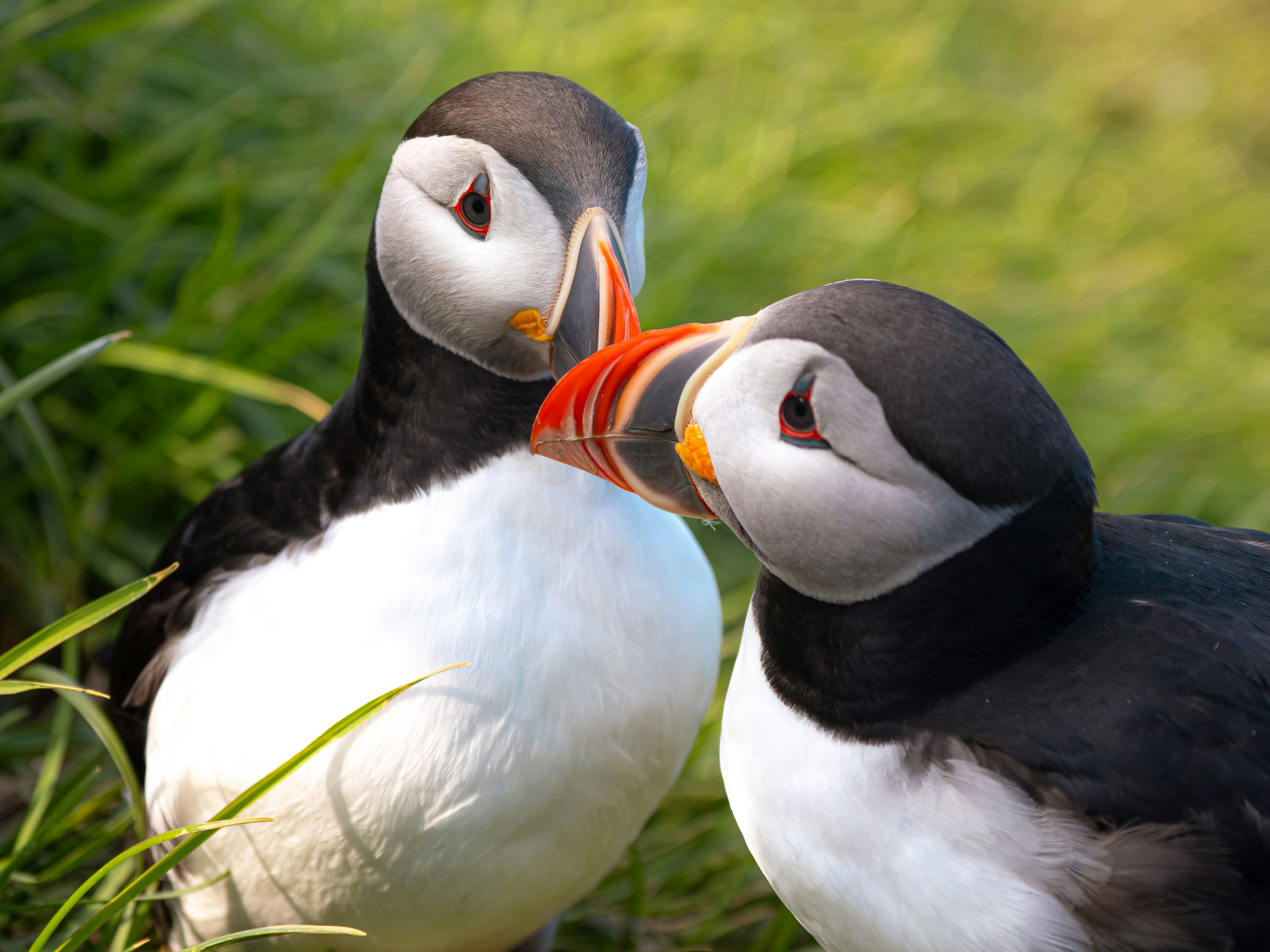 Photo by mszerszynski