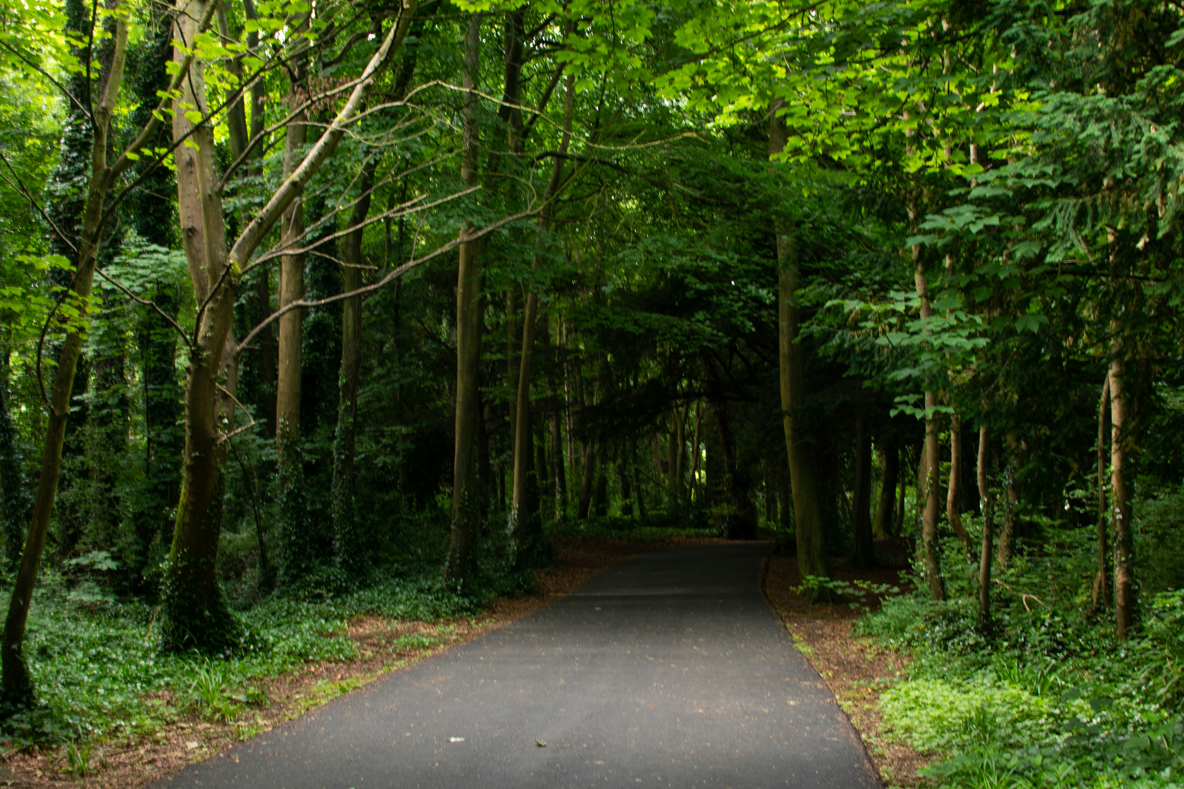 Photo by karl3kirstin