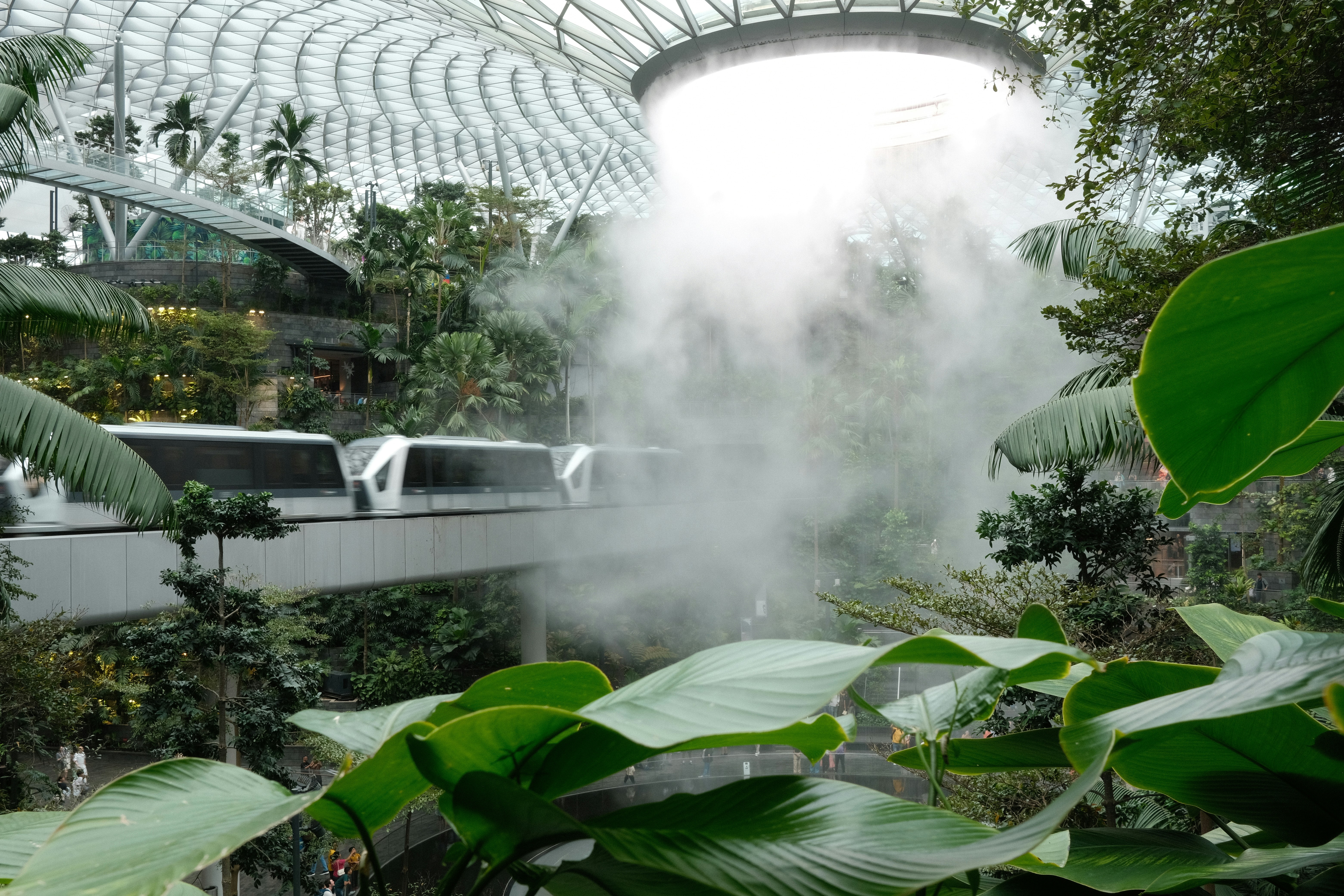Train travels past a misty waterfall in a greenhouse.