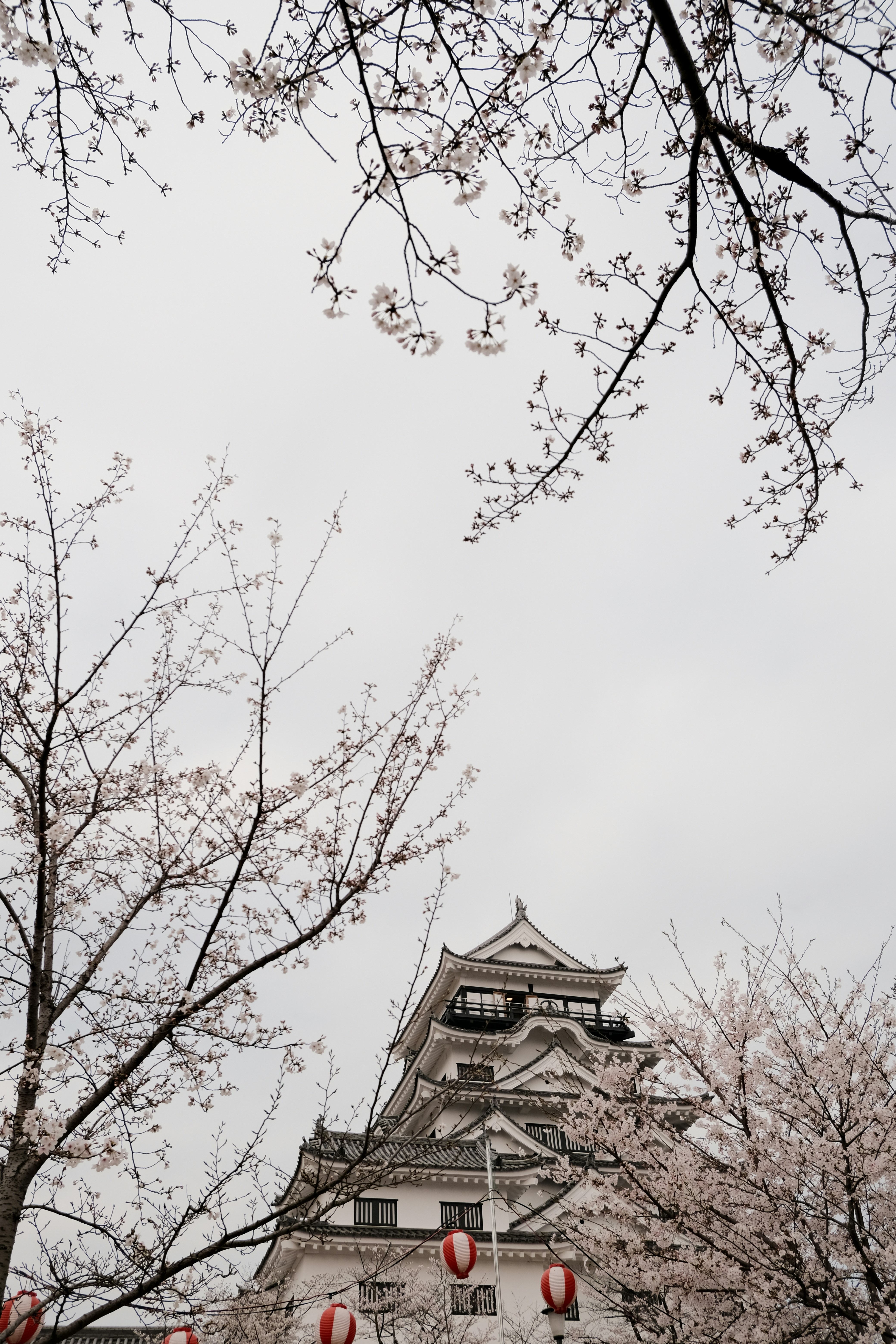Photo by ciya5