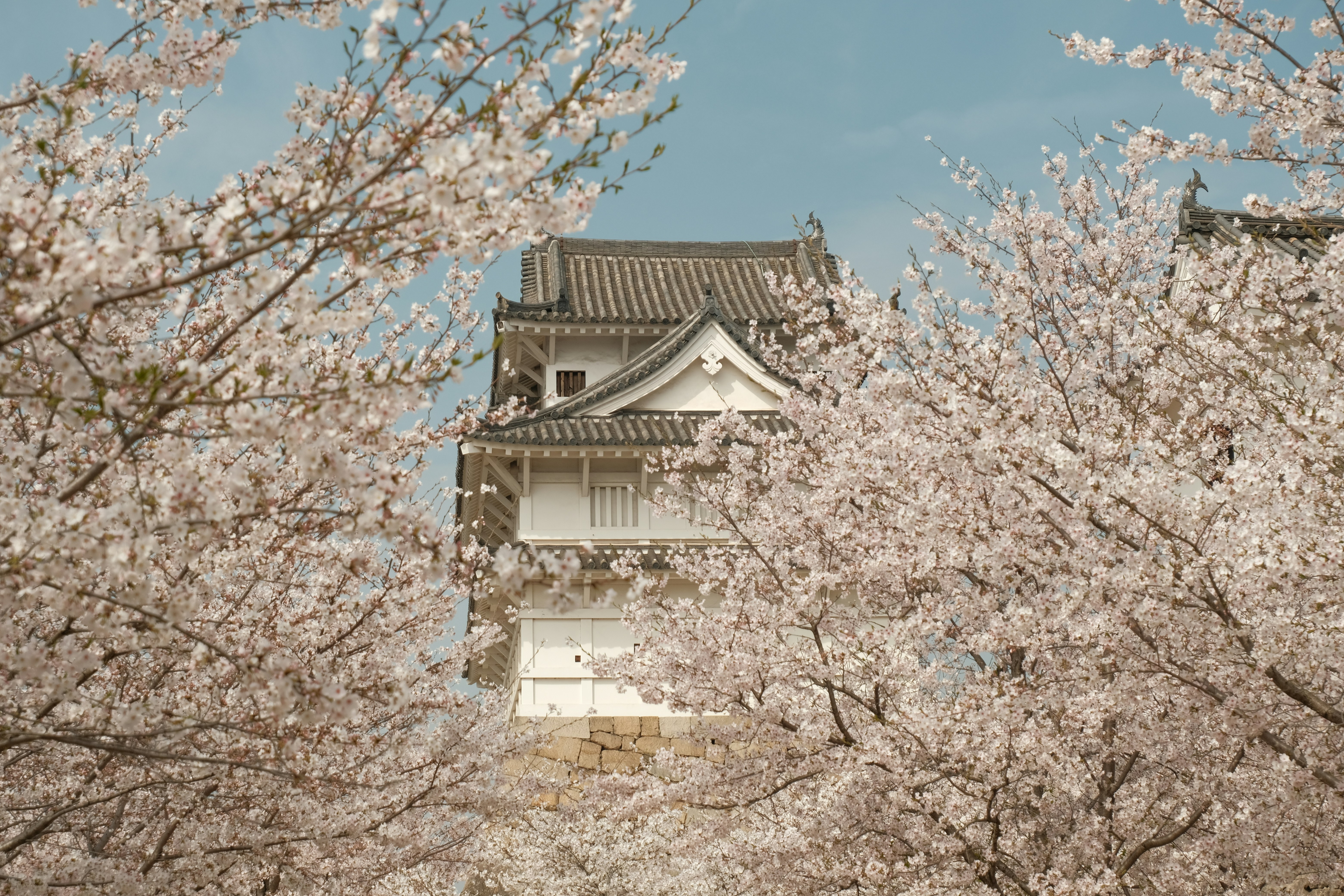 Photo by ciya5