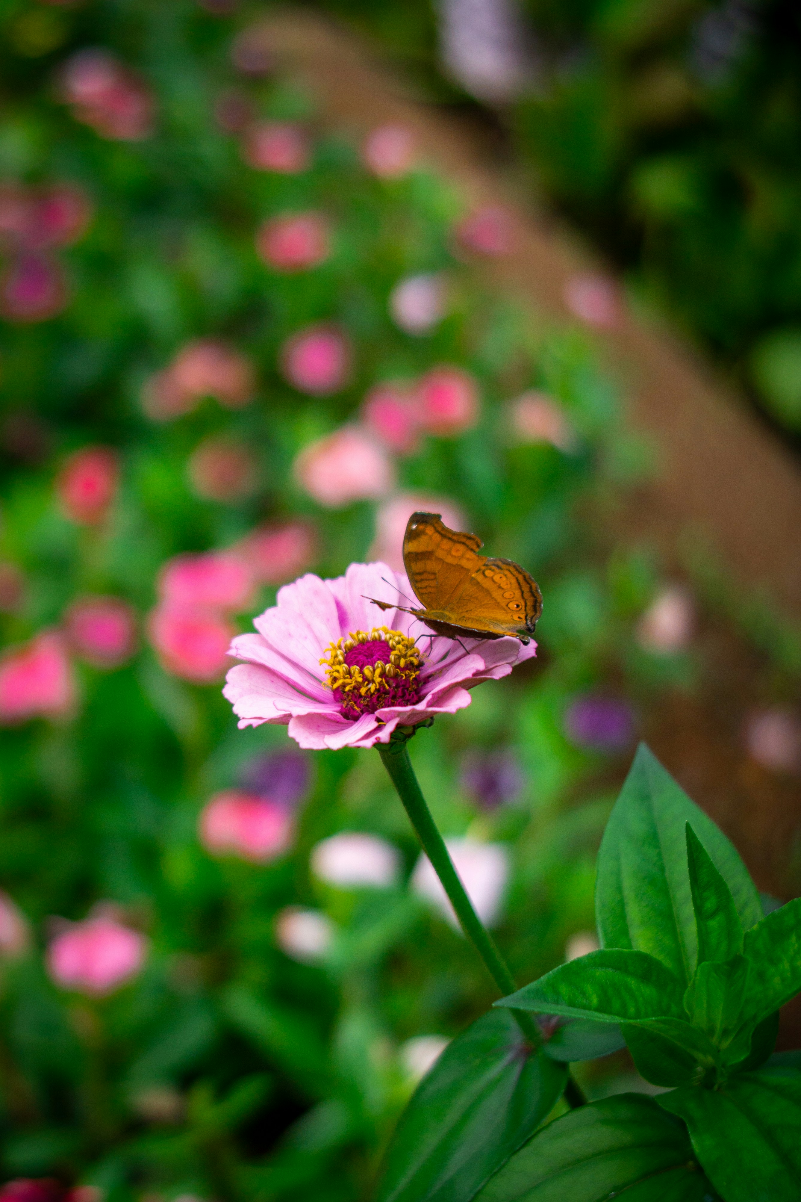 Photo by keijeizei