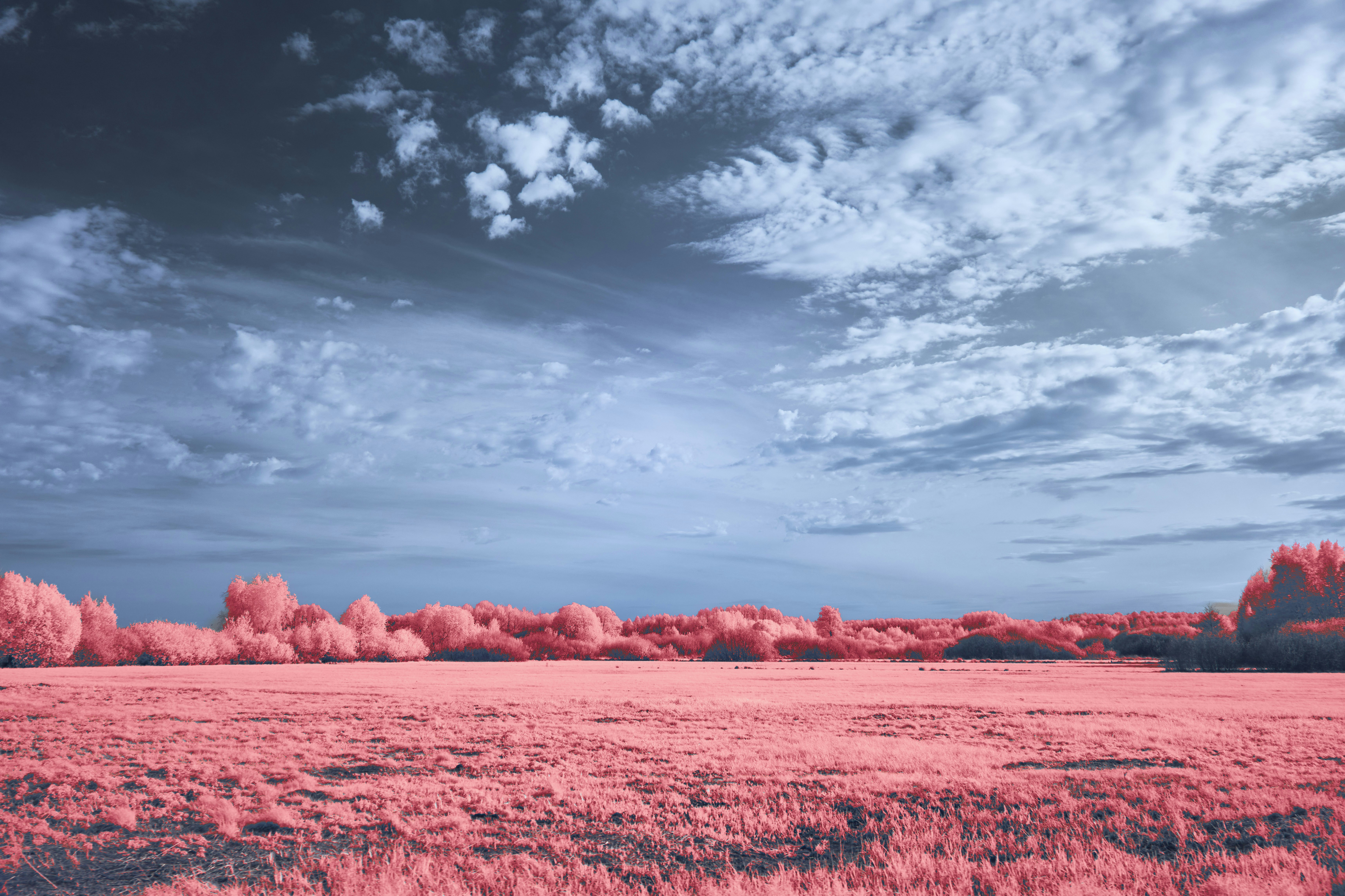 Photo by wolfgang_hasselmann