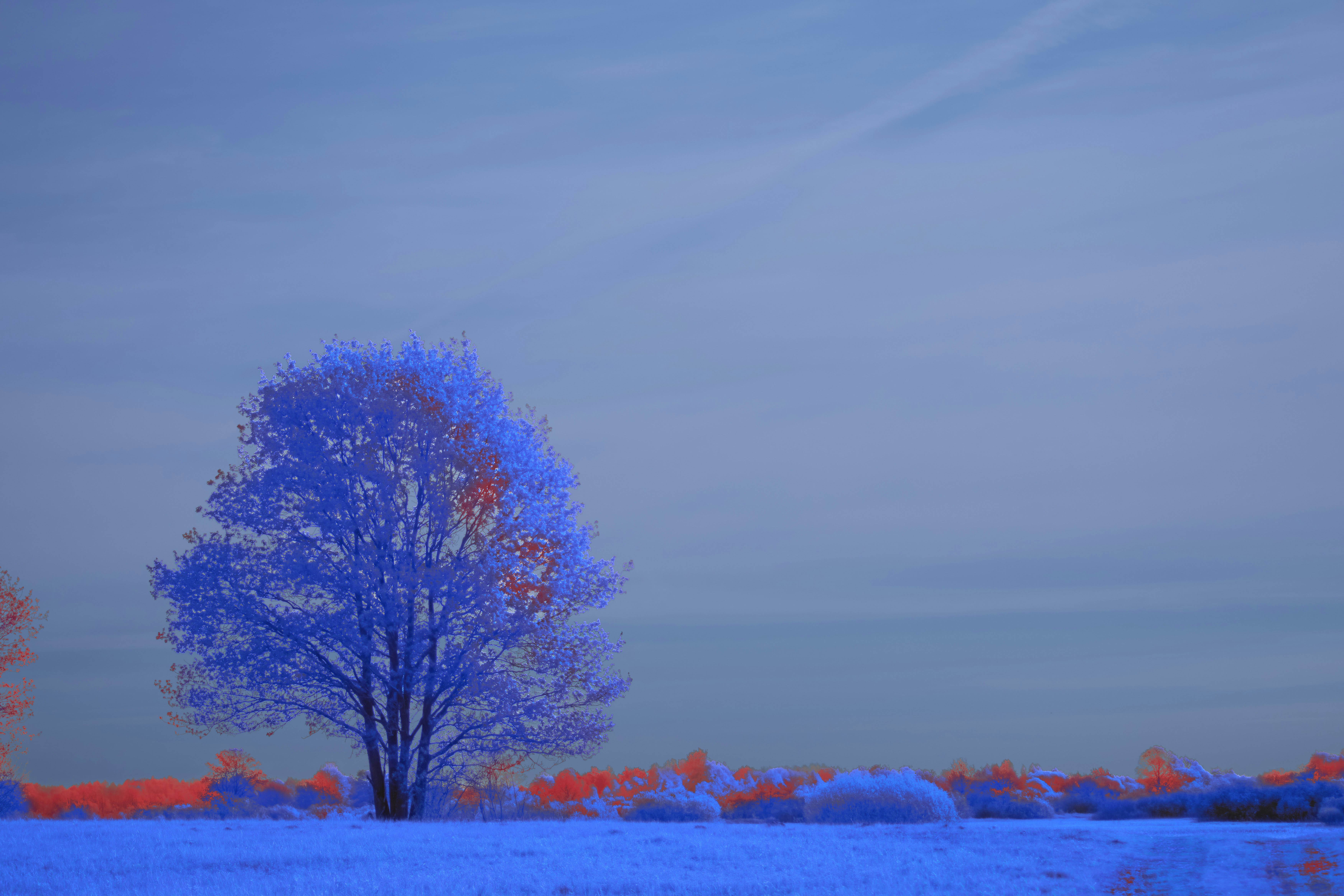 Photo by wolfgang_hasselmann