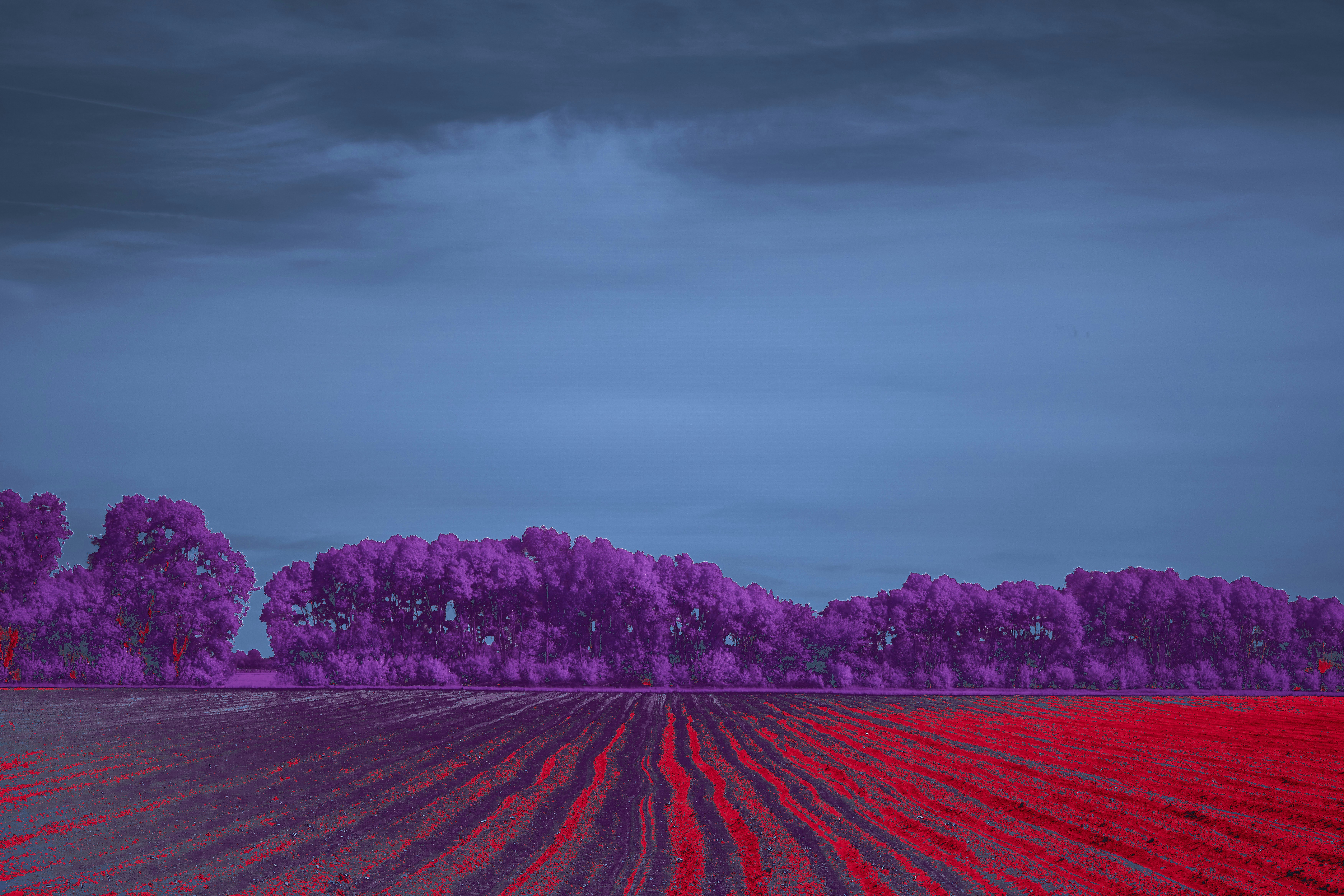 Photo by wolfgang_hasselmann