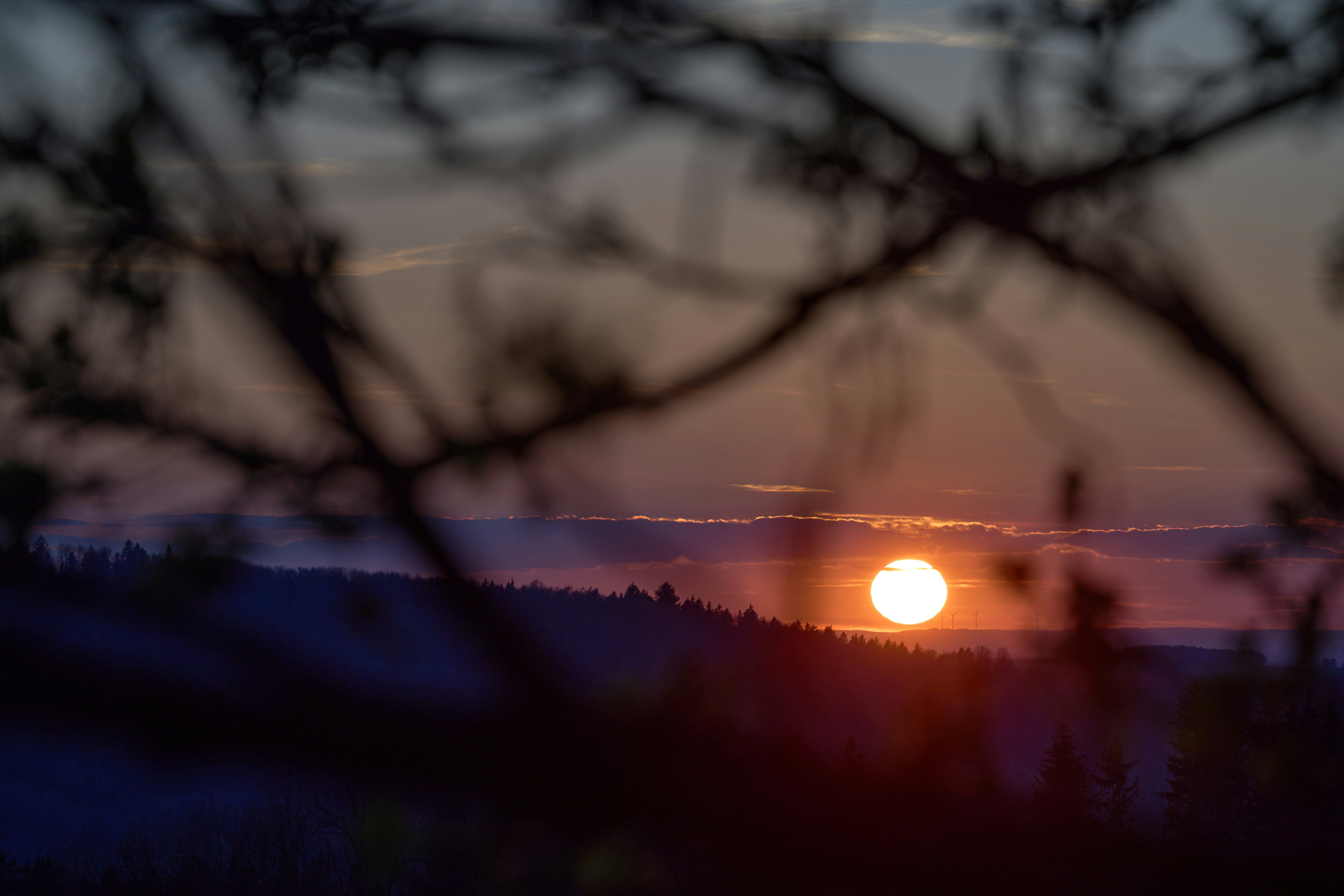 Photo by wolfgang_hasselmann