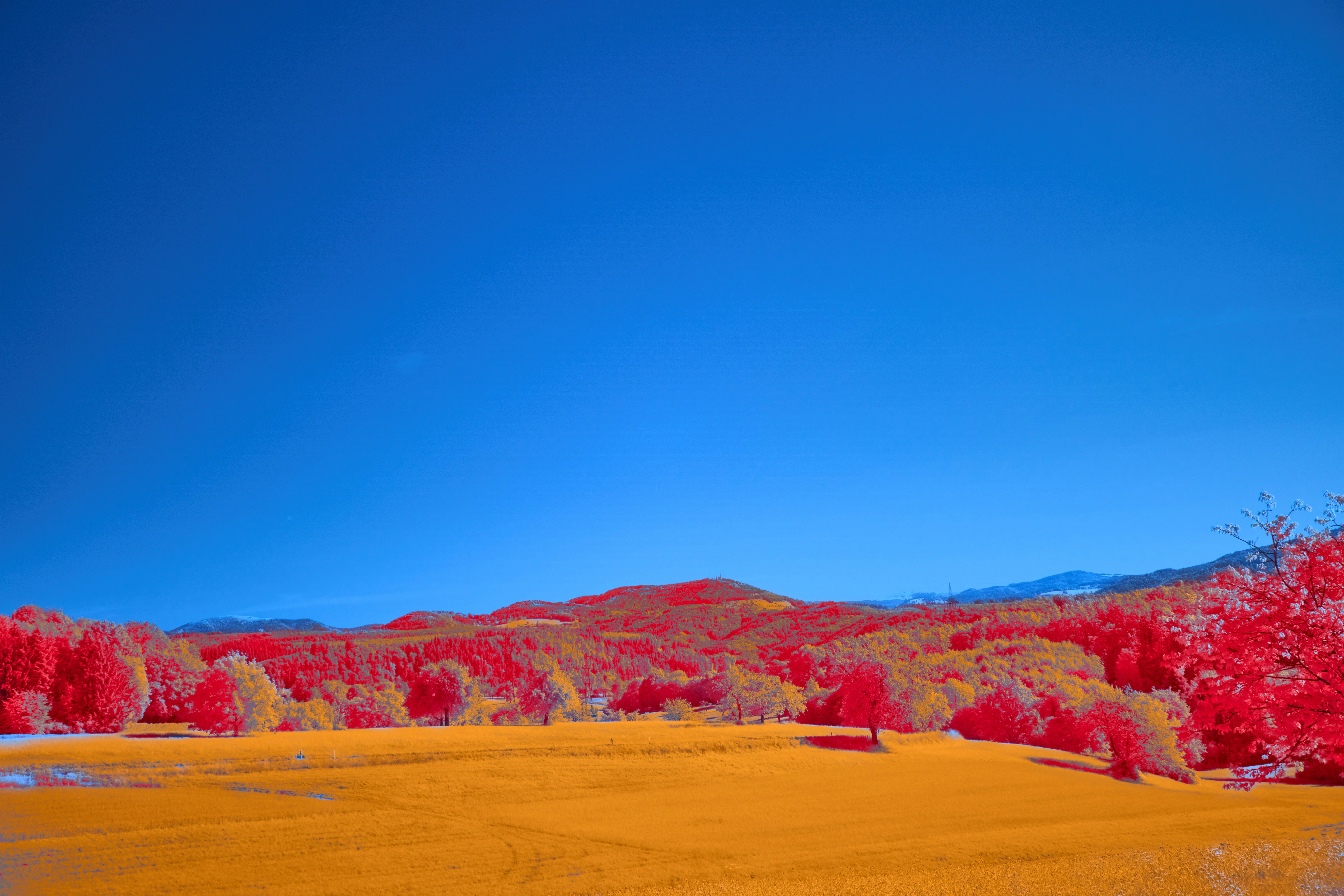 美しい風景写真