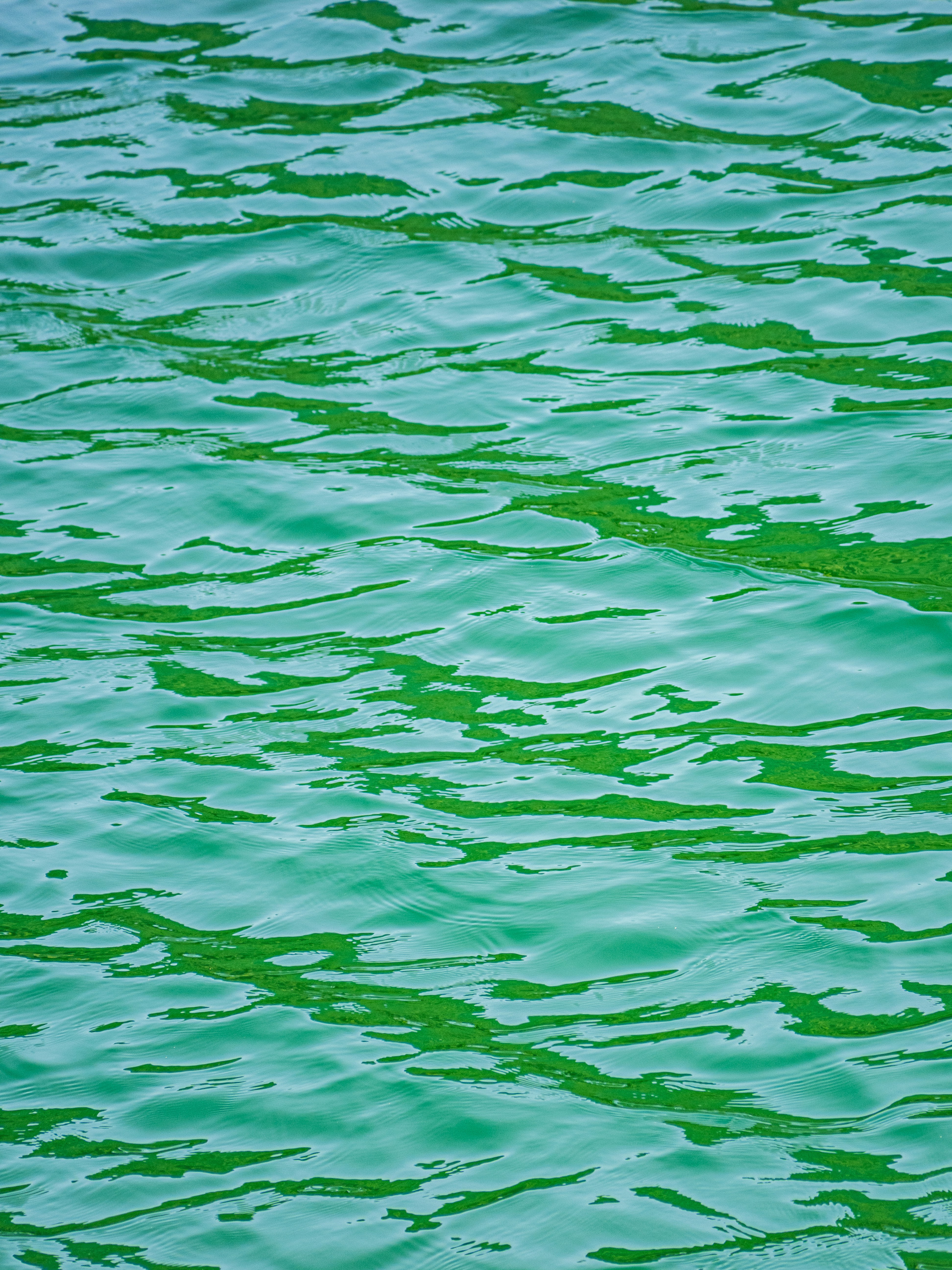 Photo by gopitri_prem