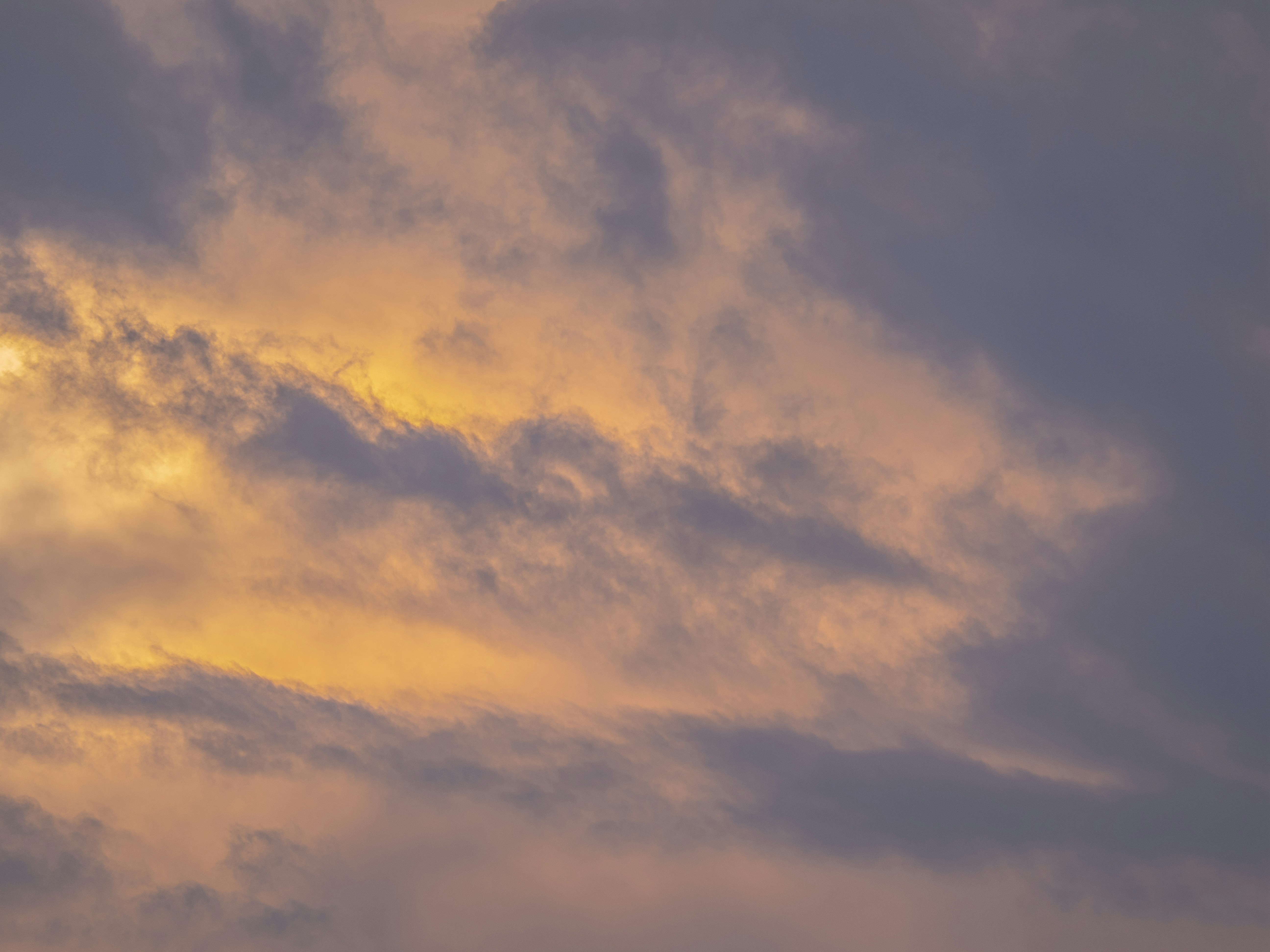 Photo by gopitri_prem