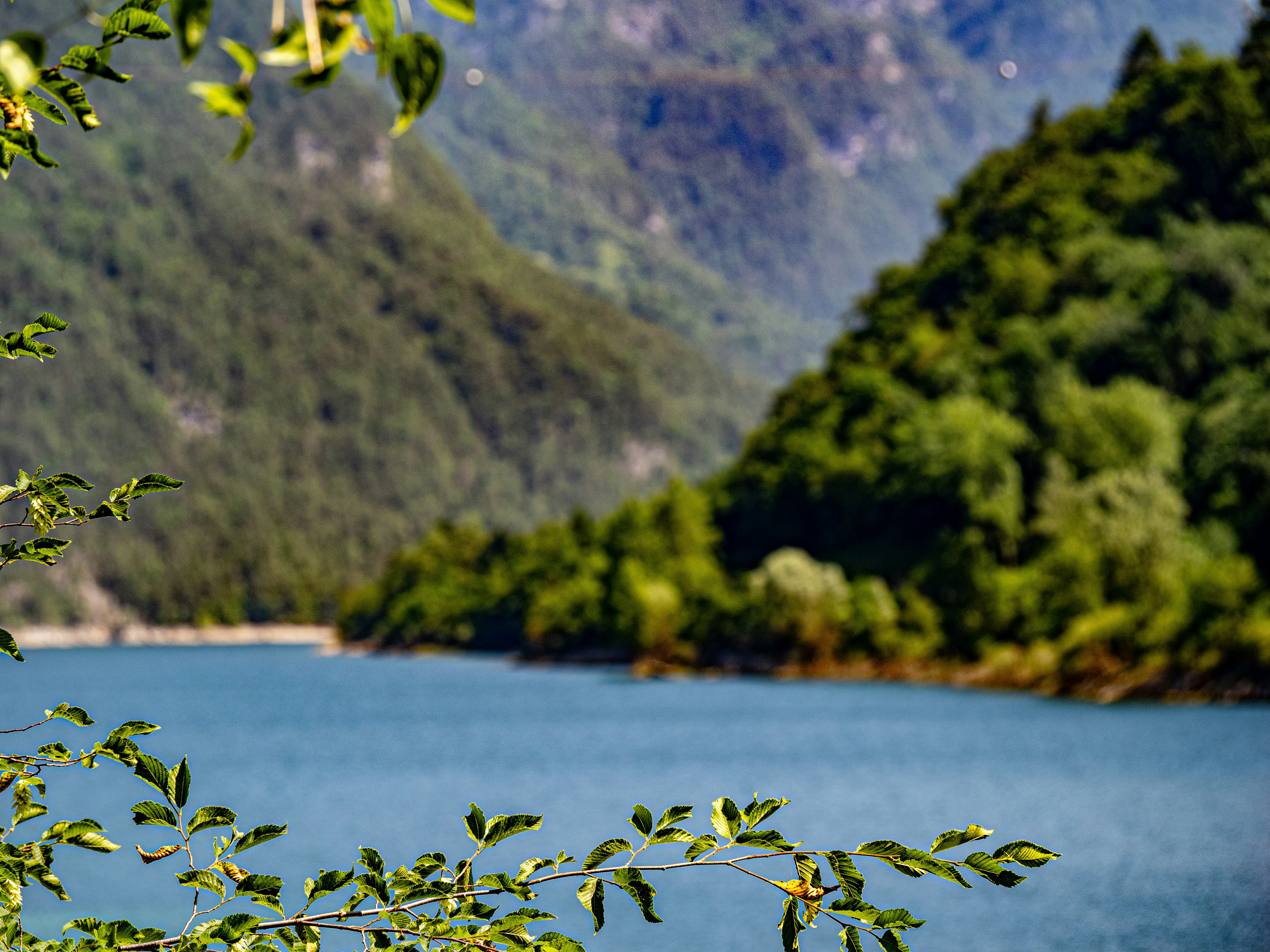 Photo by gopitri_prem