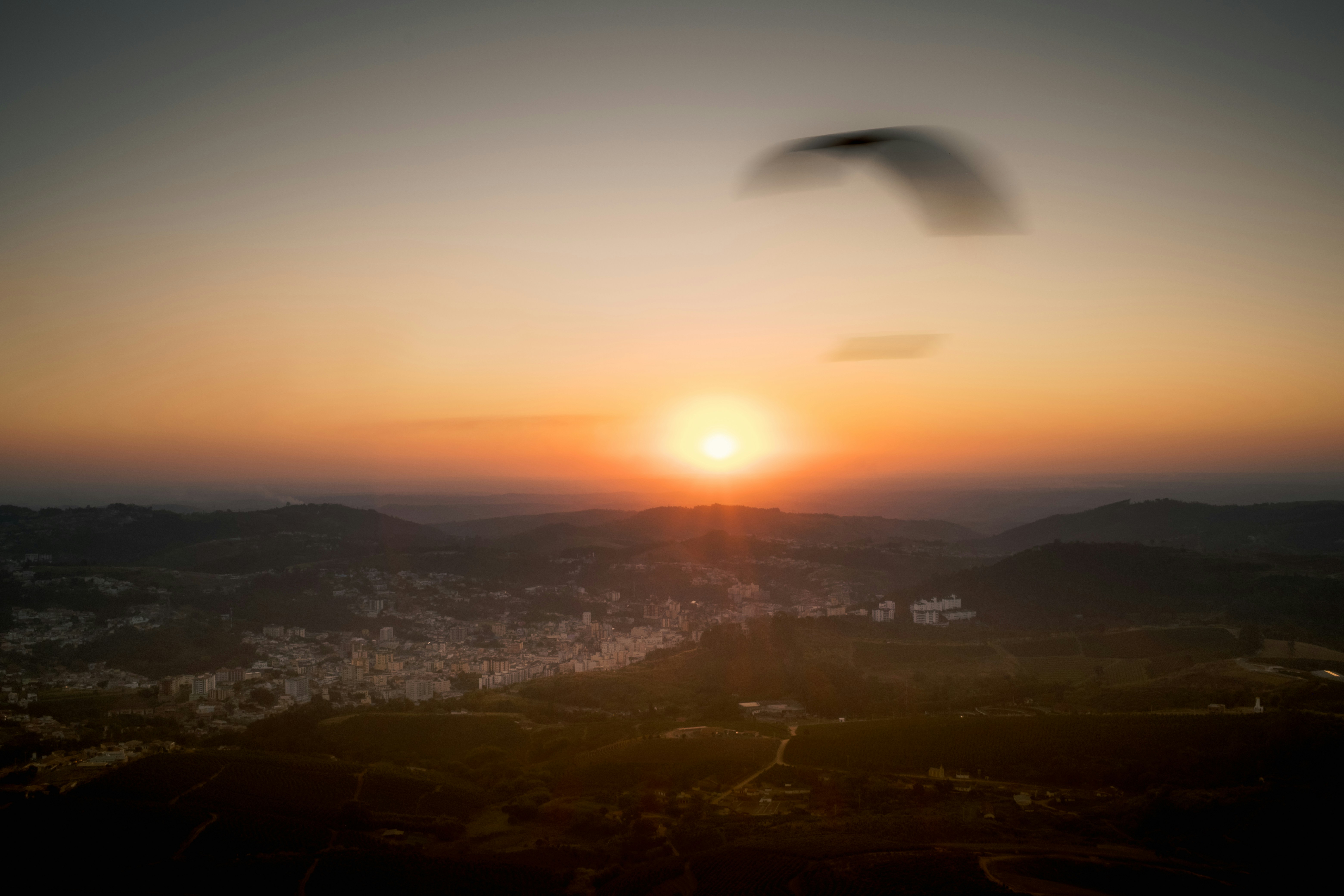 Sunset over a hazy landscape with a bird flying.
