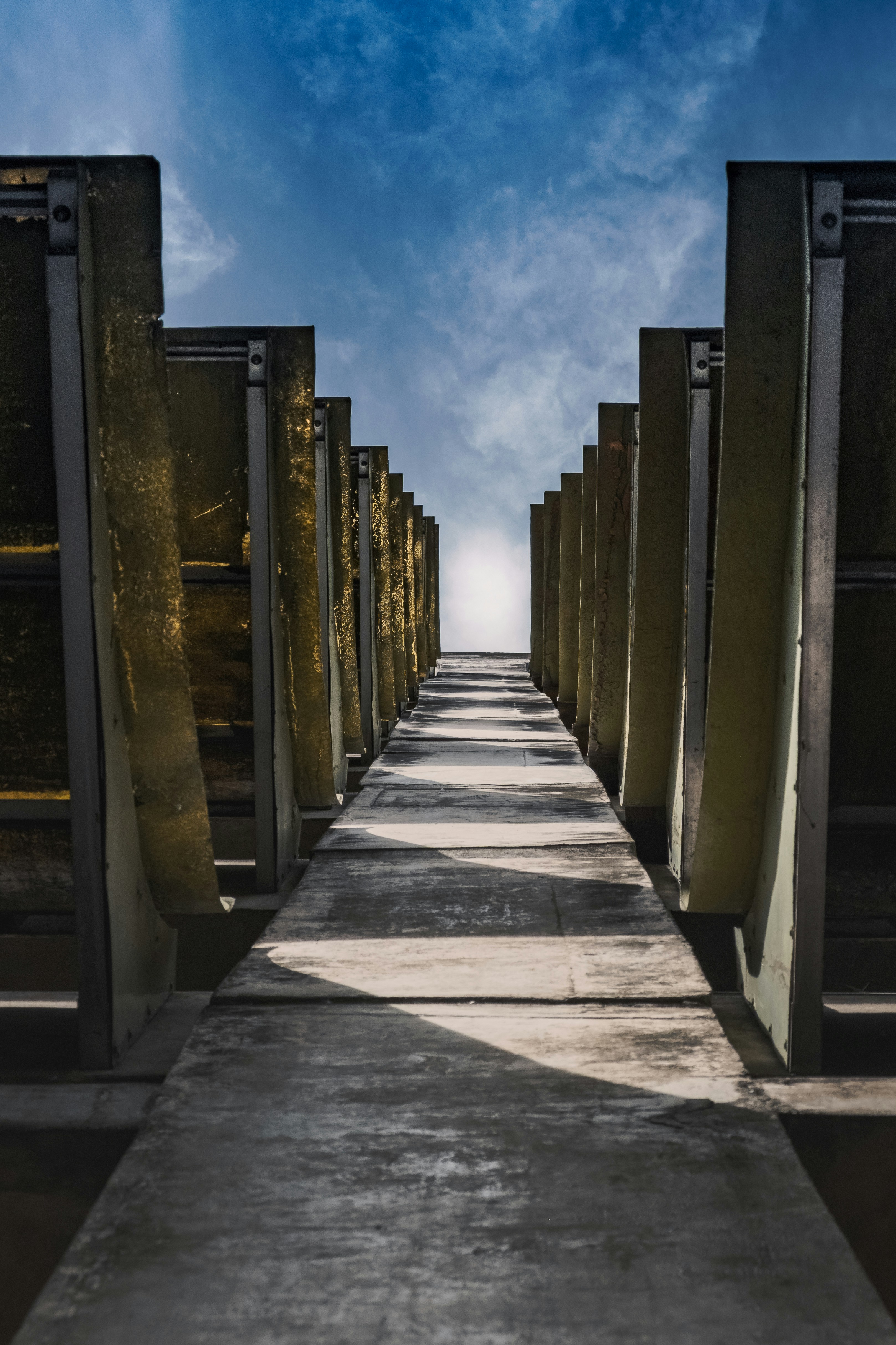 Photo by paulomateus