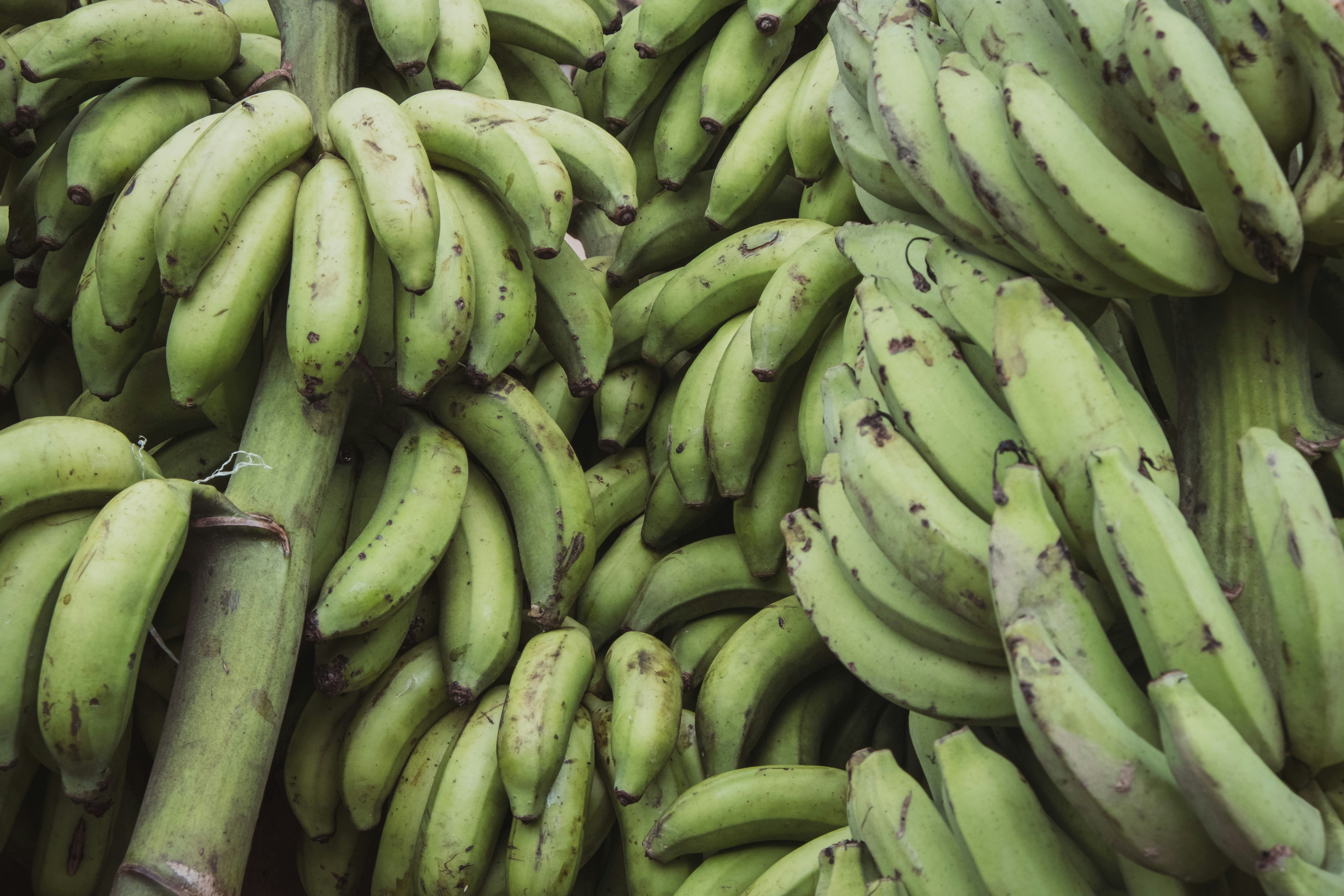 Photo by paulomateus