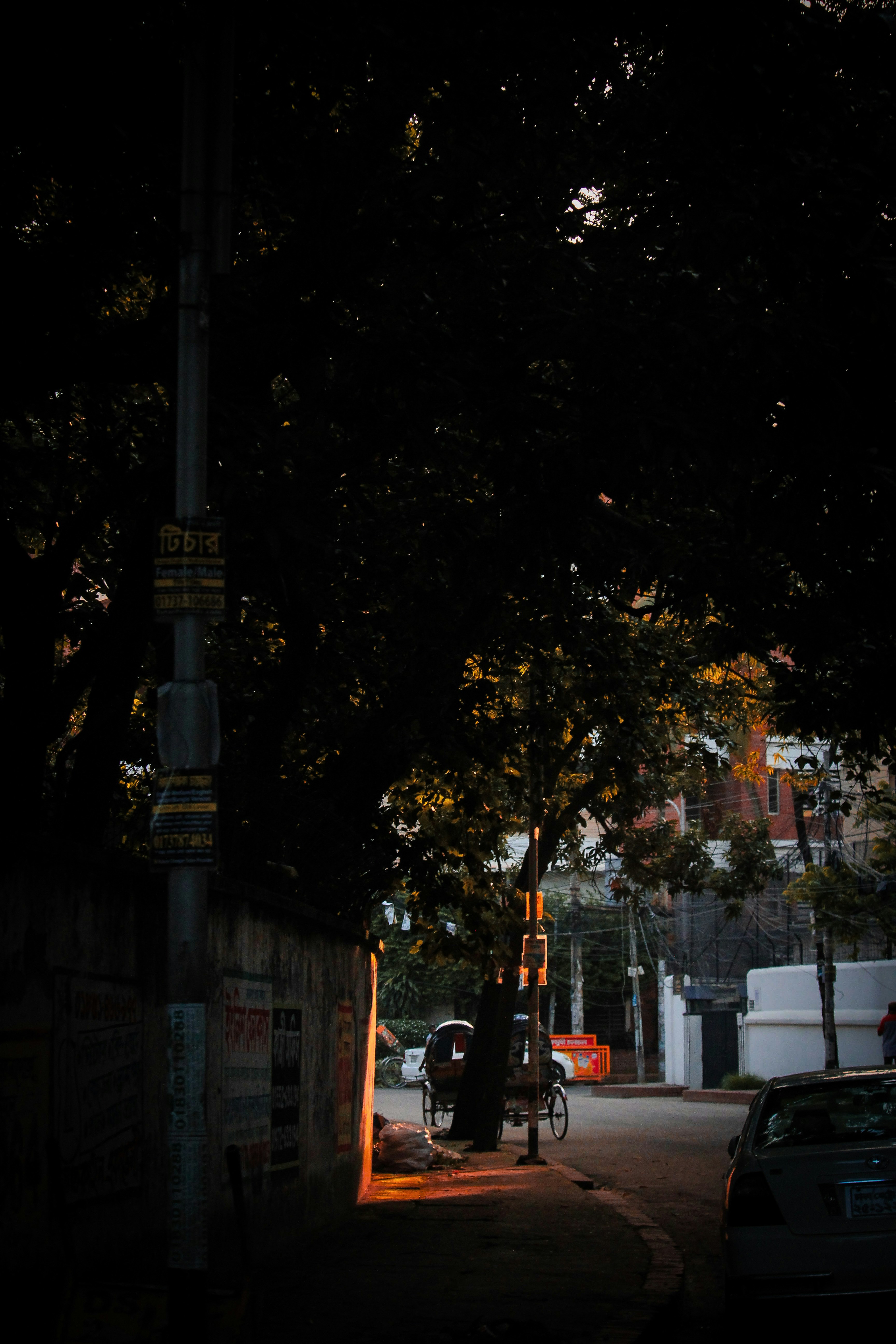 Photo by towhidkhudadad