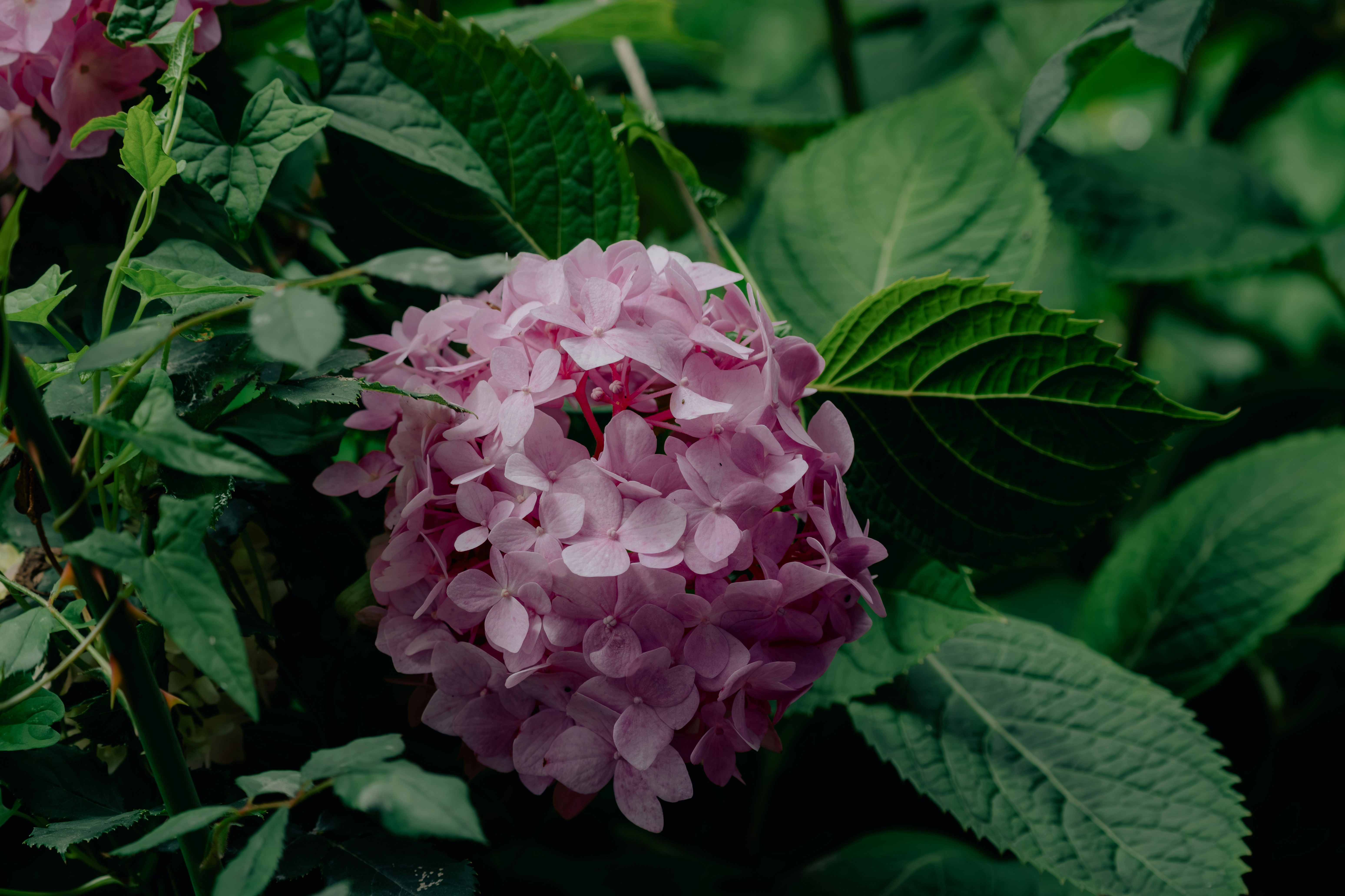 Photo by squids93