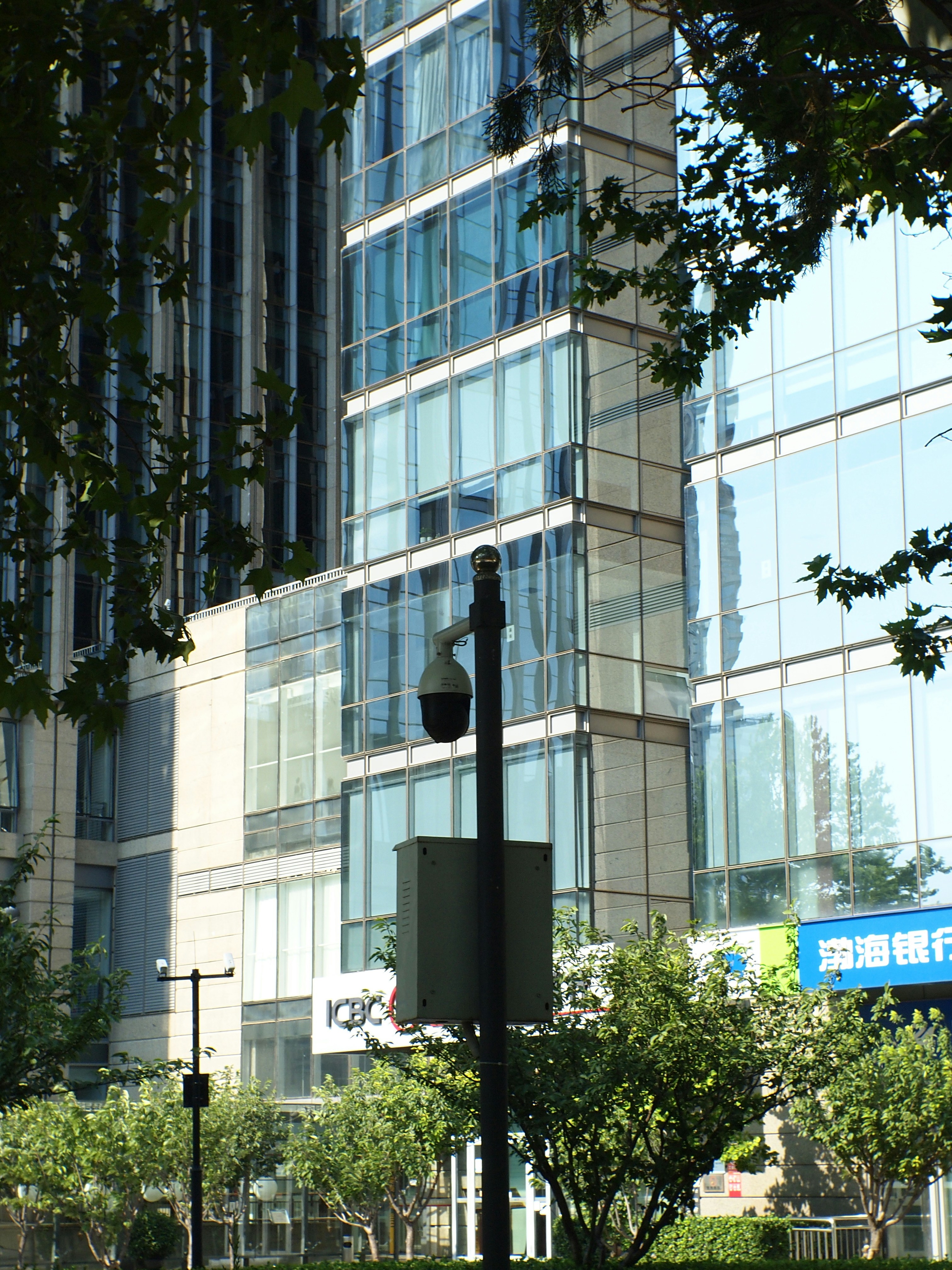 Photo by shawnieyang0606