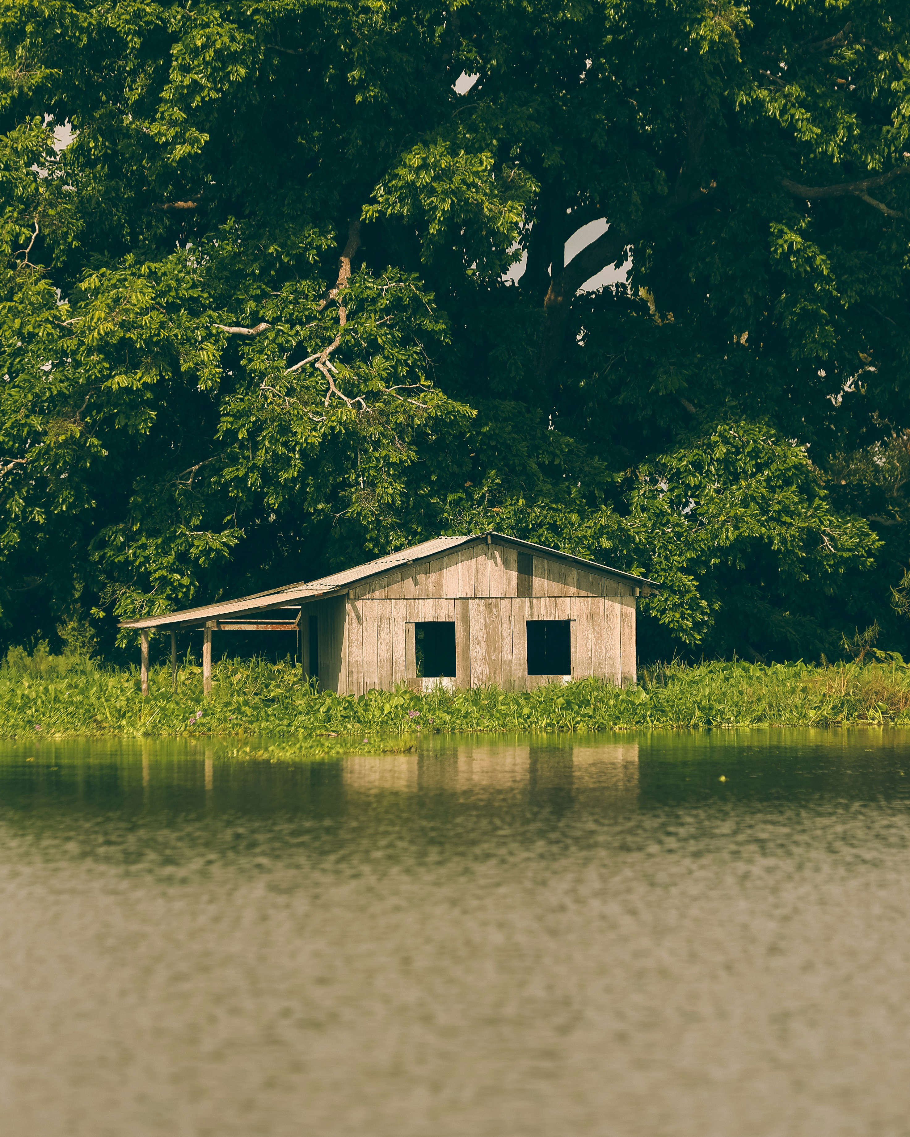 Uma pequena cabana rústica à beira-mar.