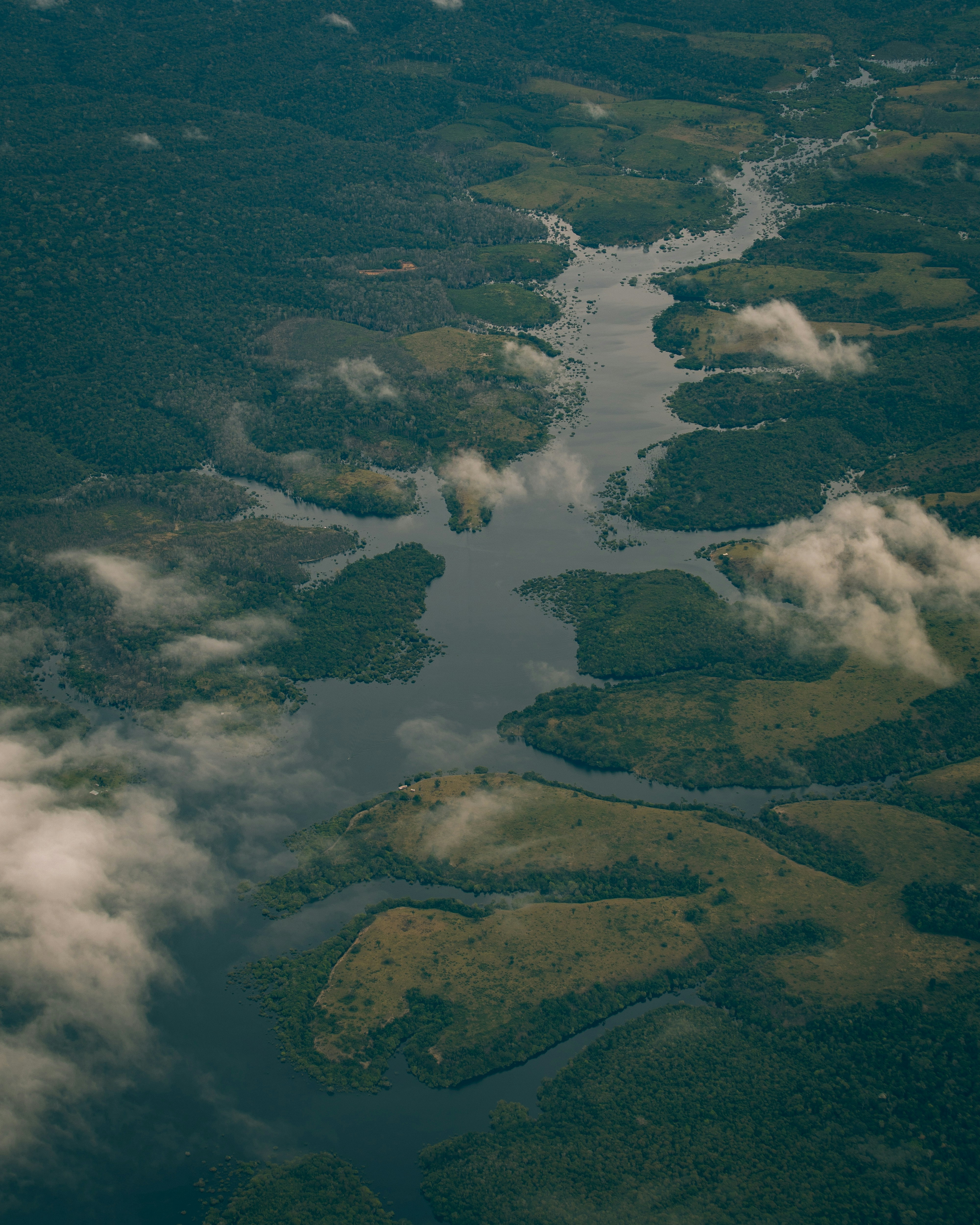 Um rio serpenteia pela densa floresta.